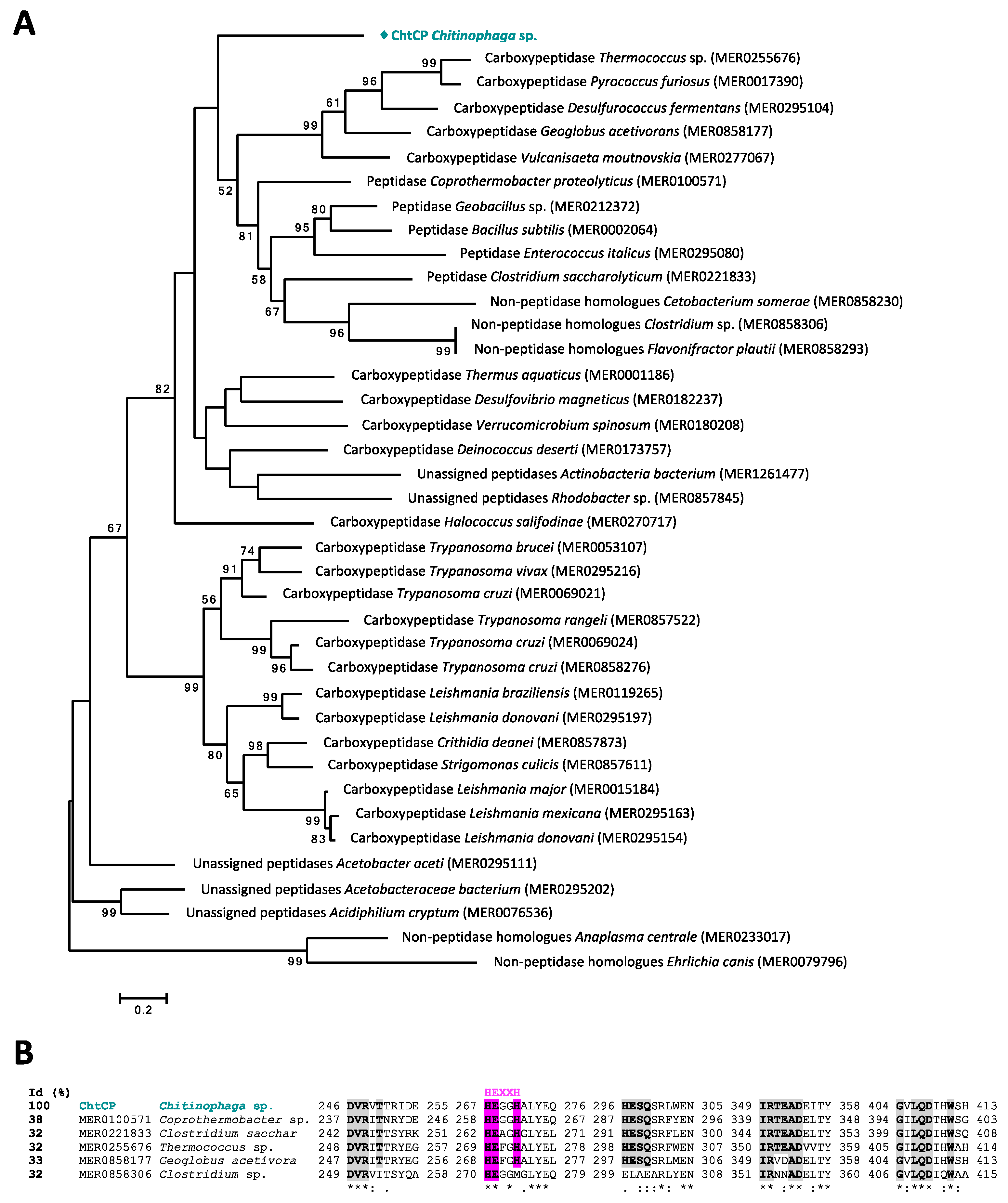 Microorganisms 09 00393 g001