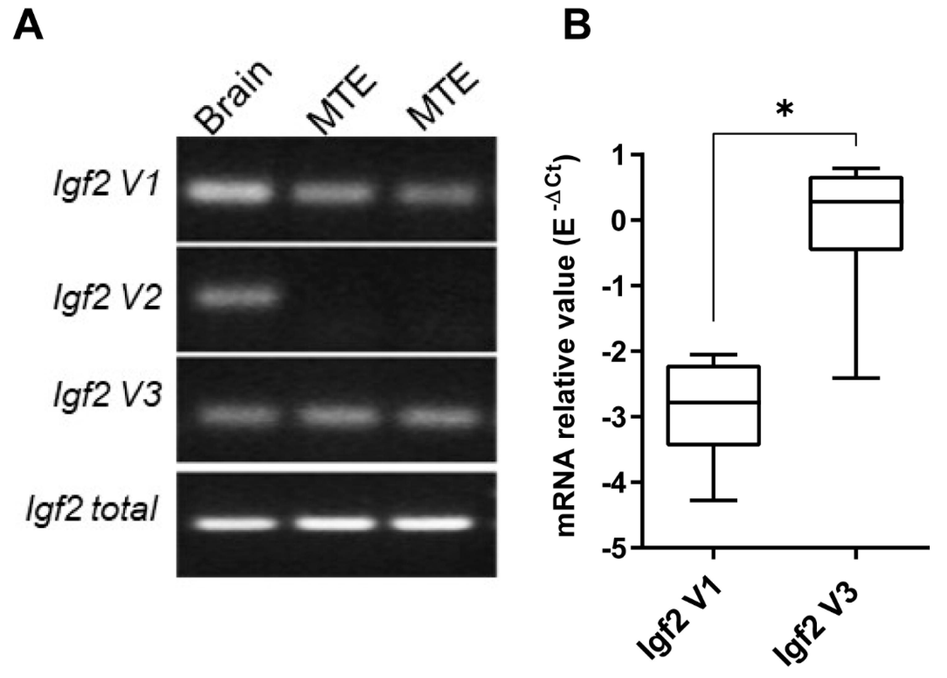 Microorganisms 09 00402 g001