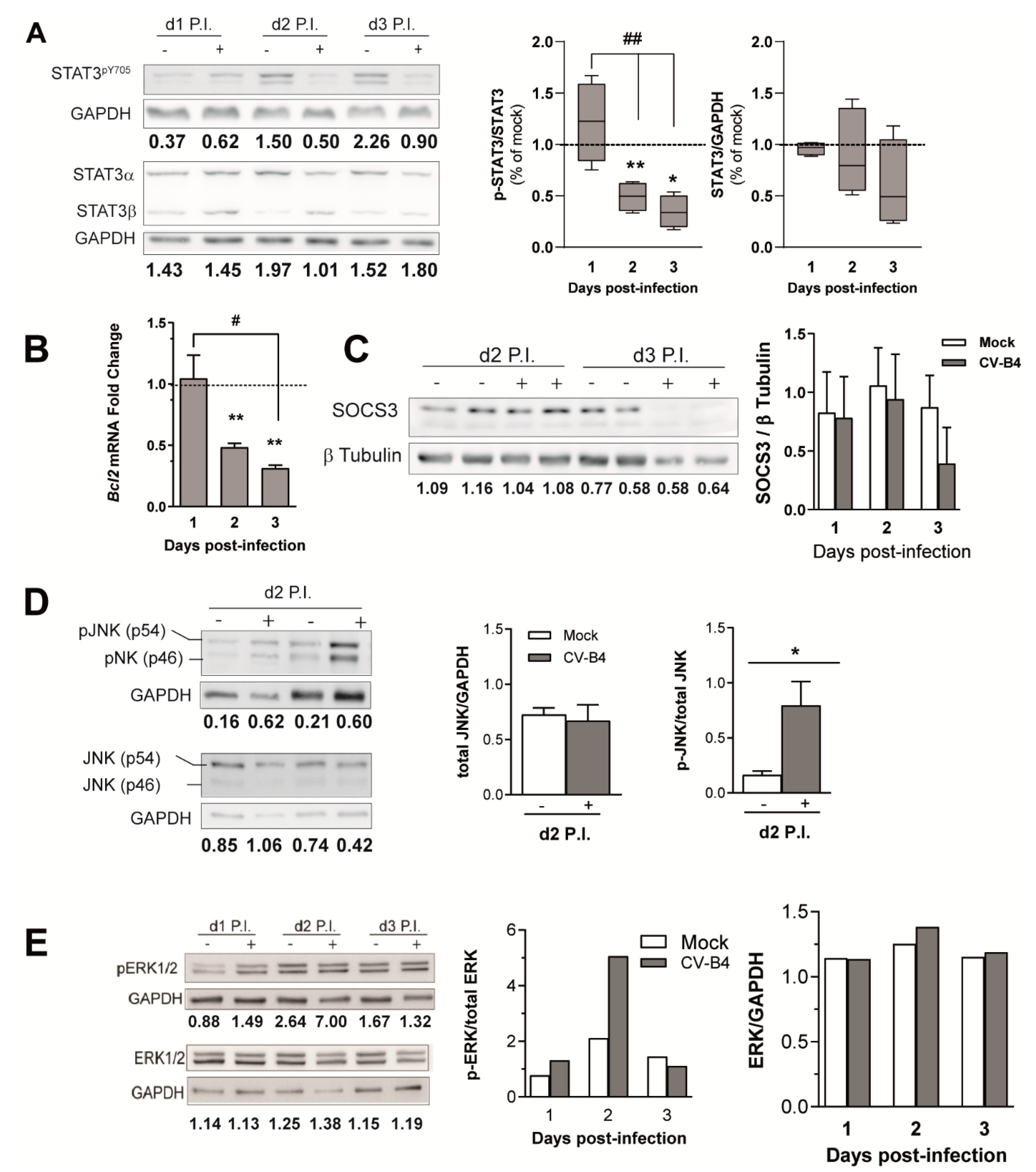 Microorganisms 09 00402 g005