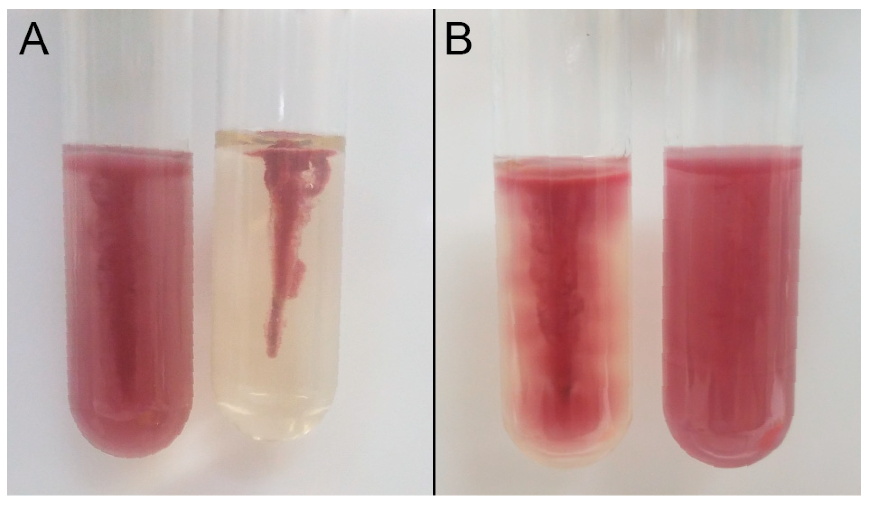 Microorganisms 09 00403 g002
