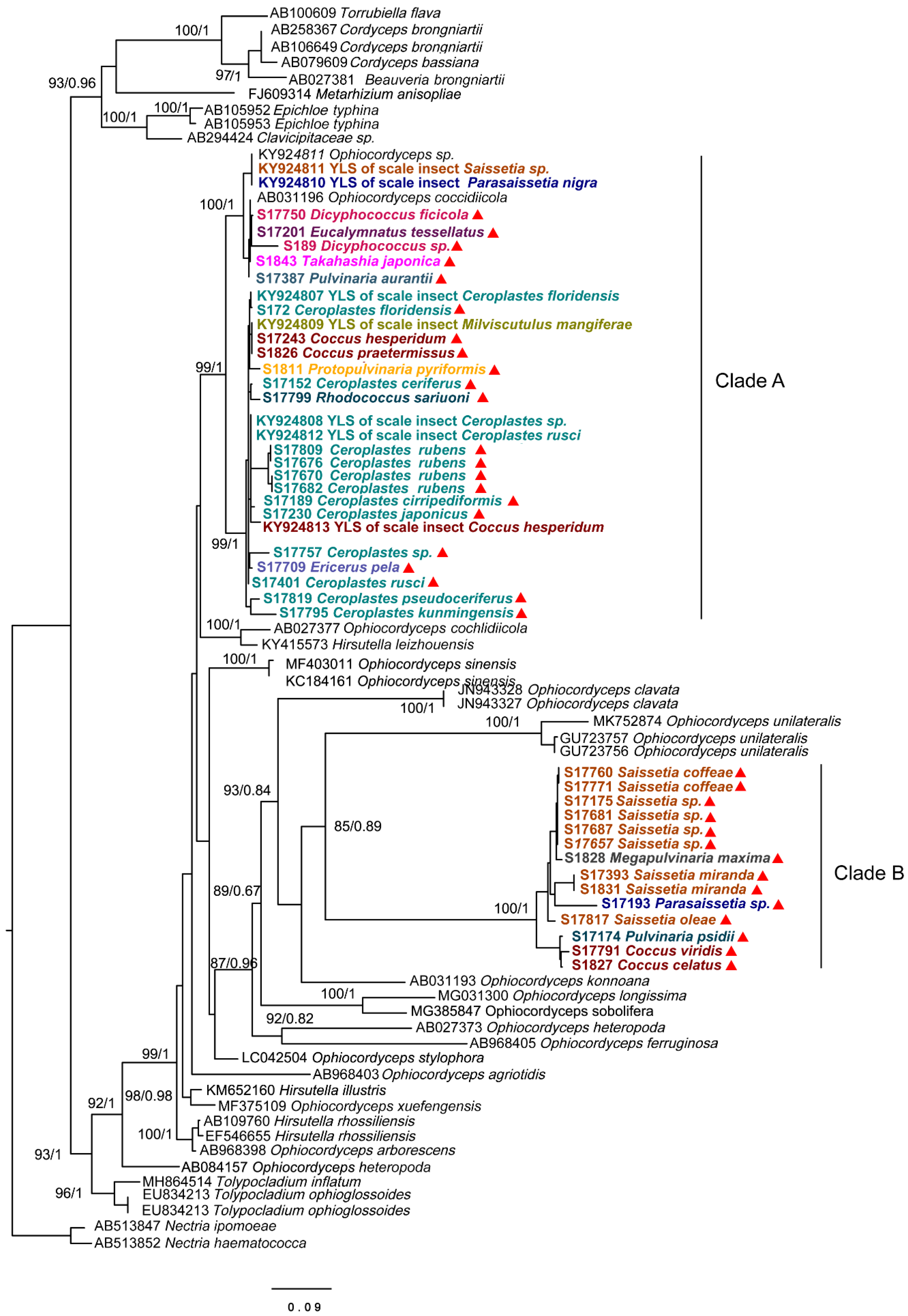 Microorganisms 09 00404 g004