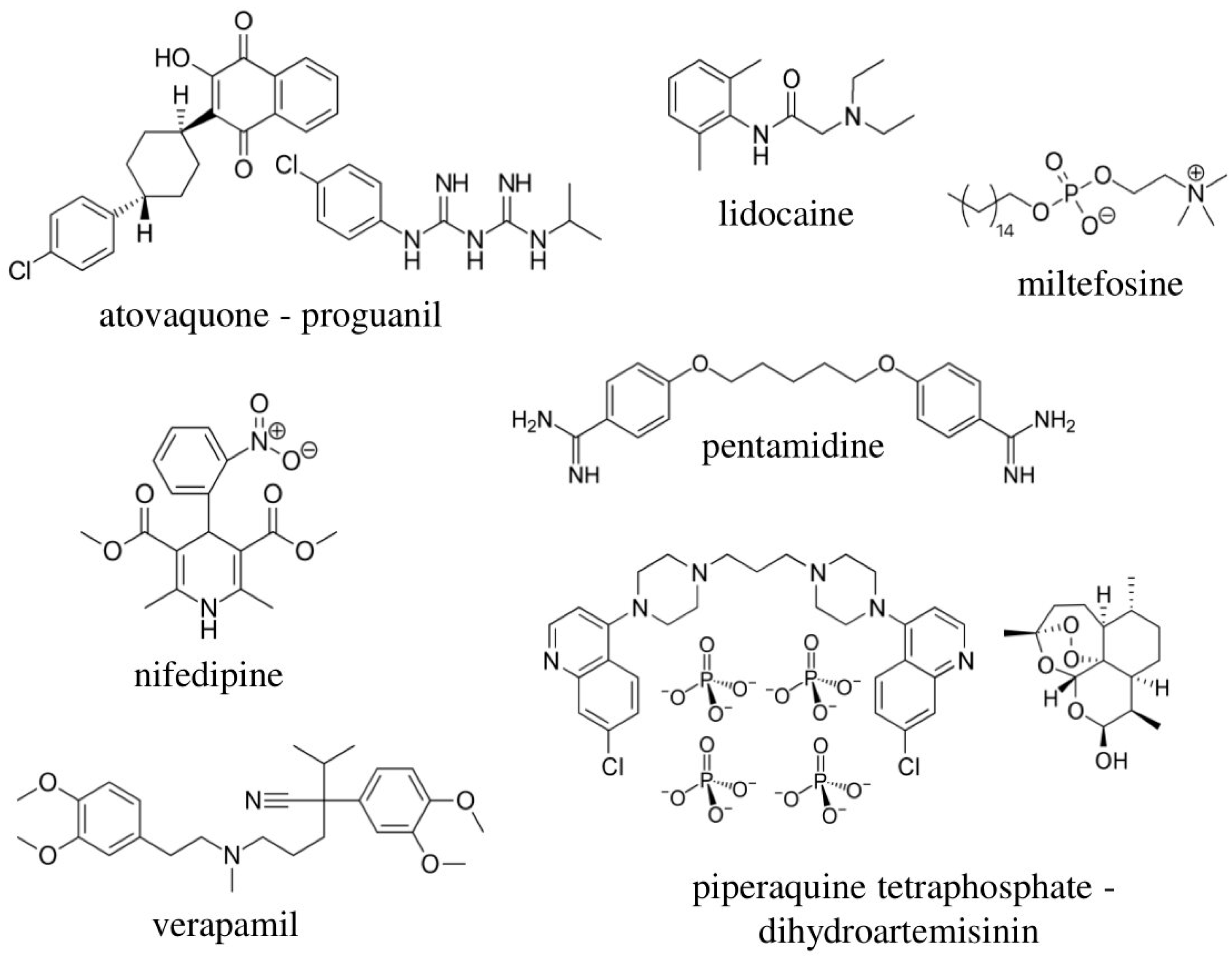 Microorganisms 09 00406 g002