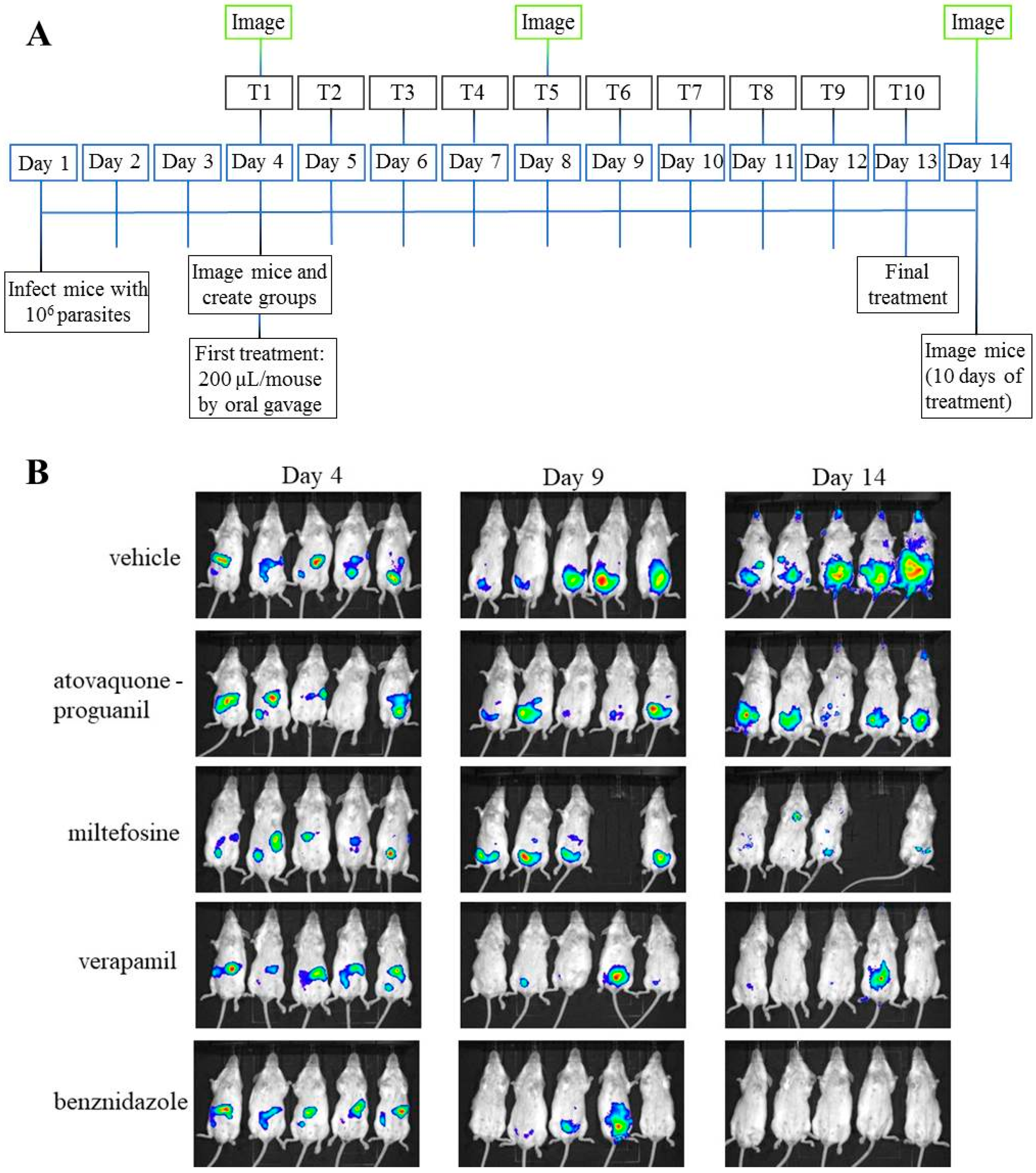 Microorganisms 09 00406 g007