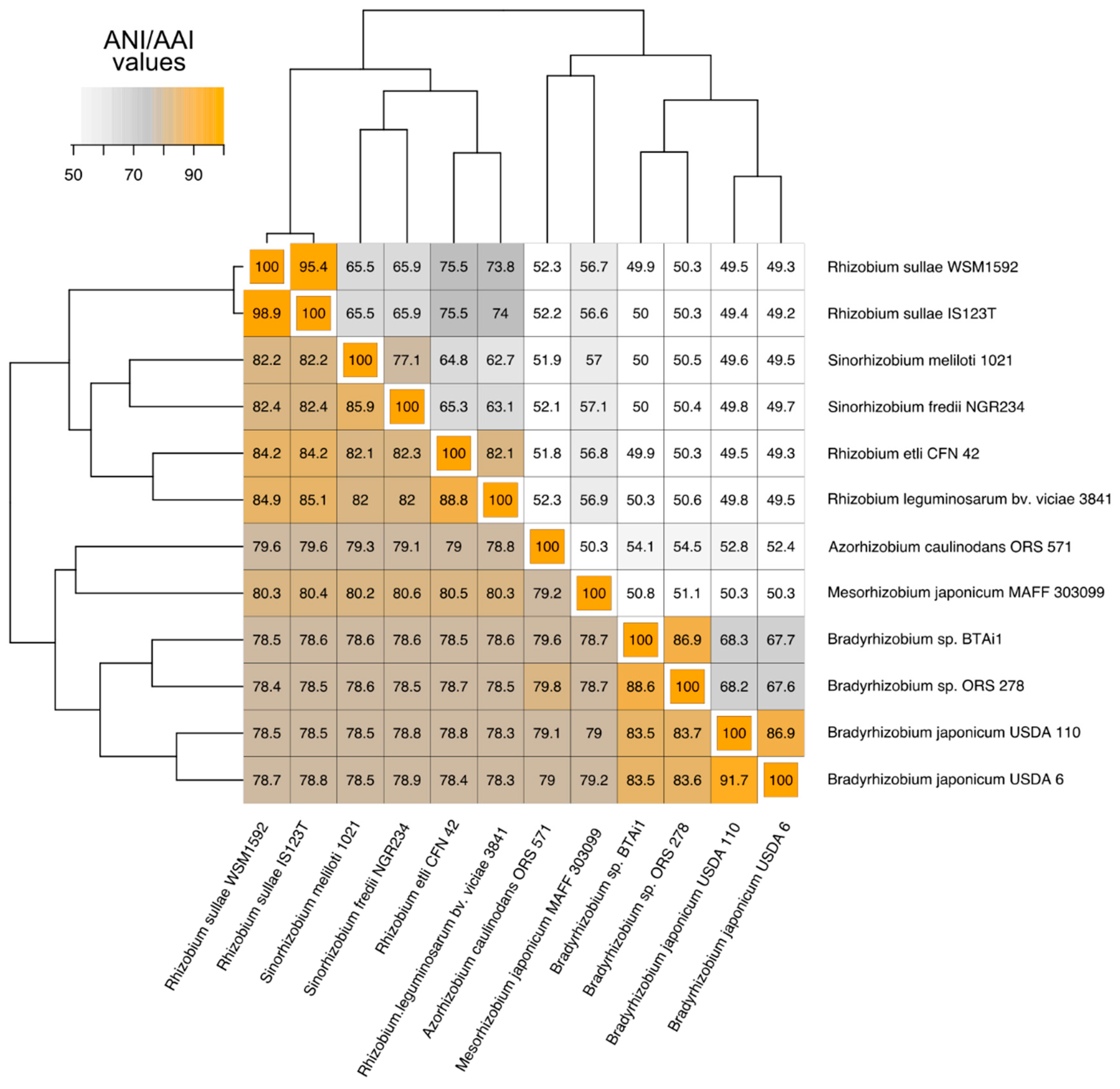 Microorganisms 09 00407 g001