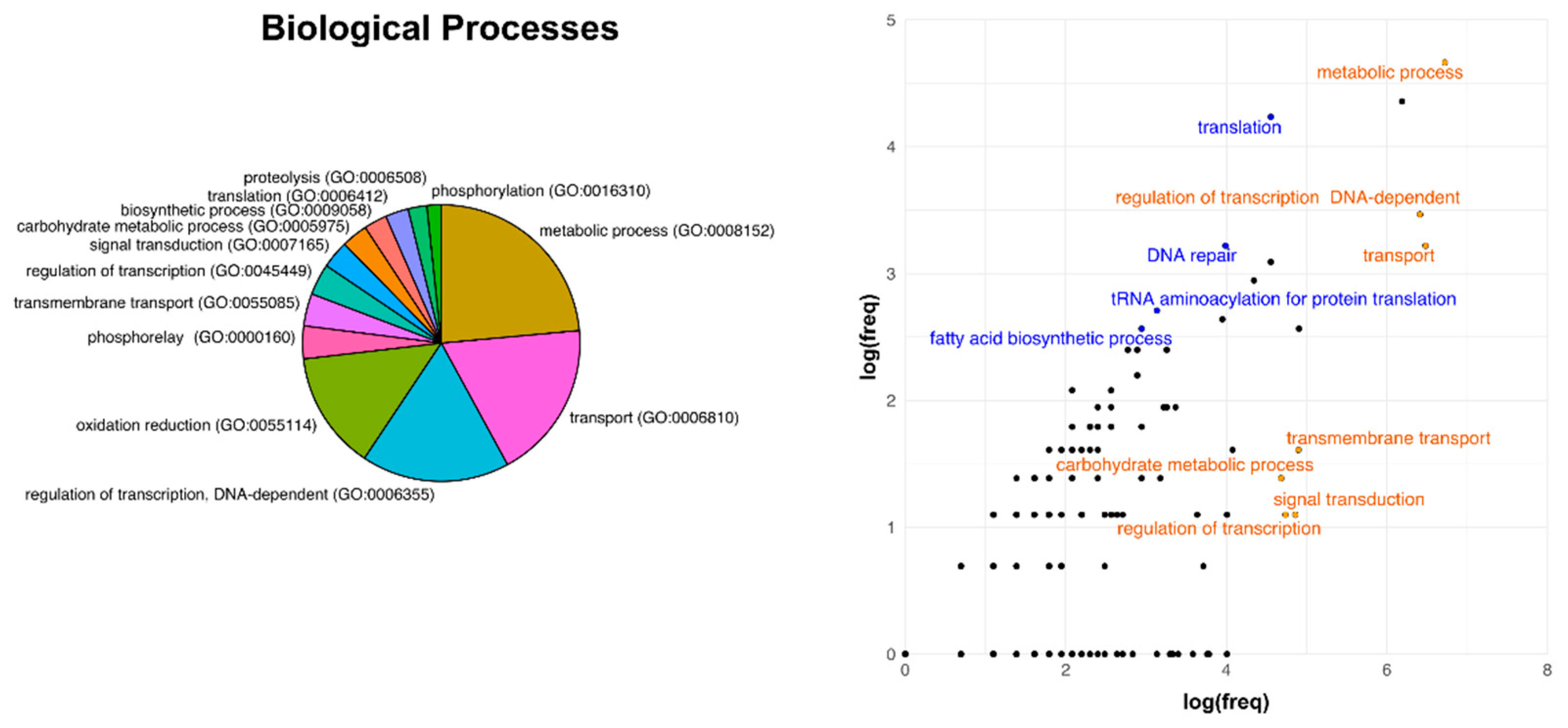 Microorganisms 09 00407 g005