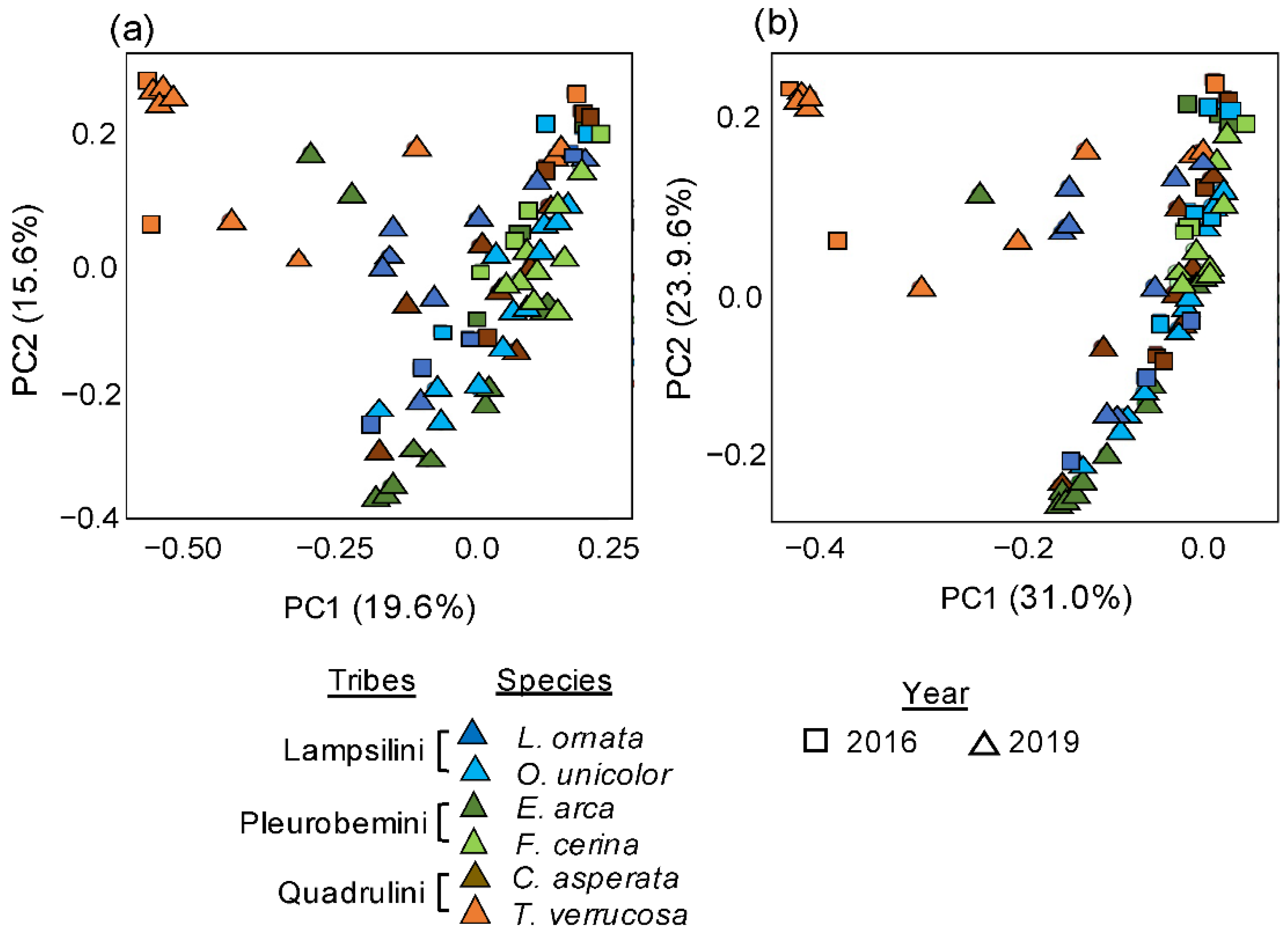 Microorganisms 09 00411 g003