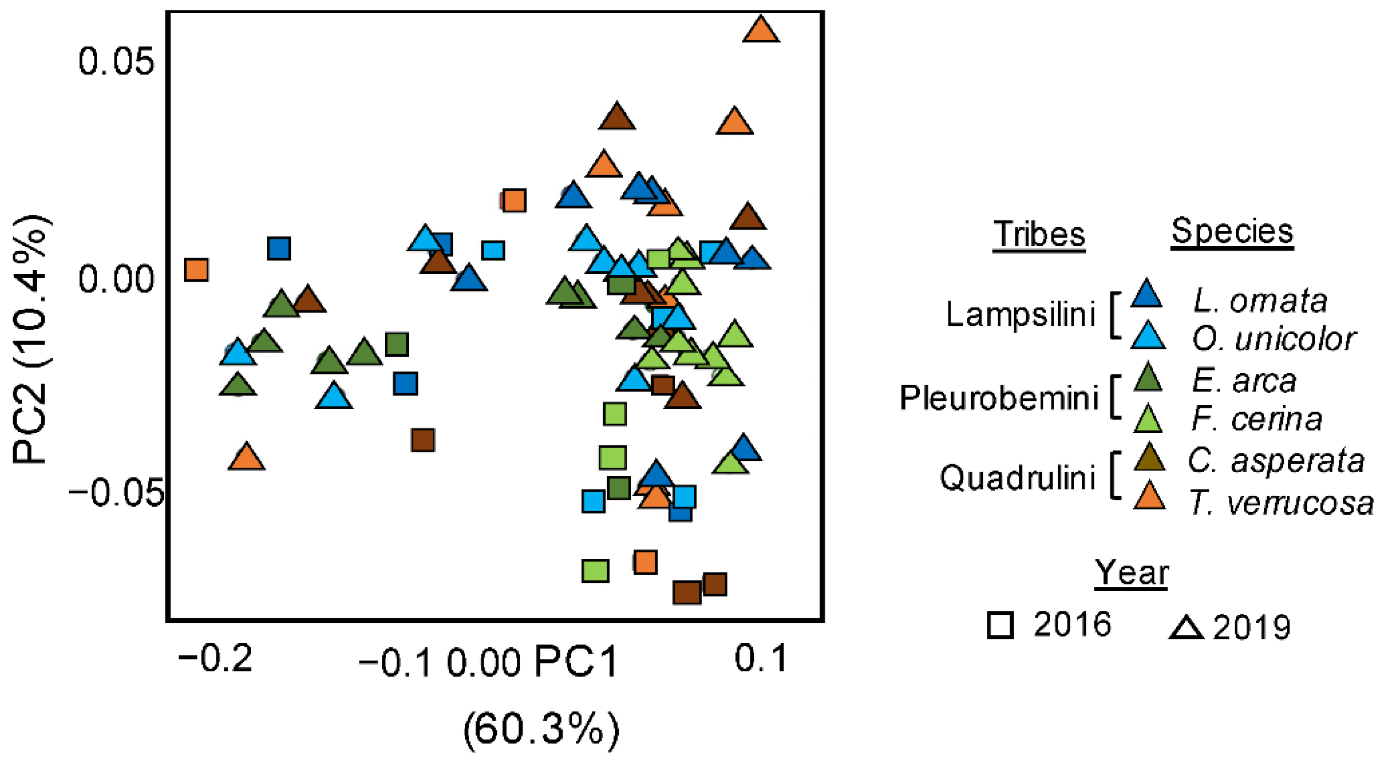 Microorganisms 09 00411 g004