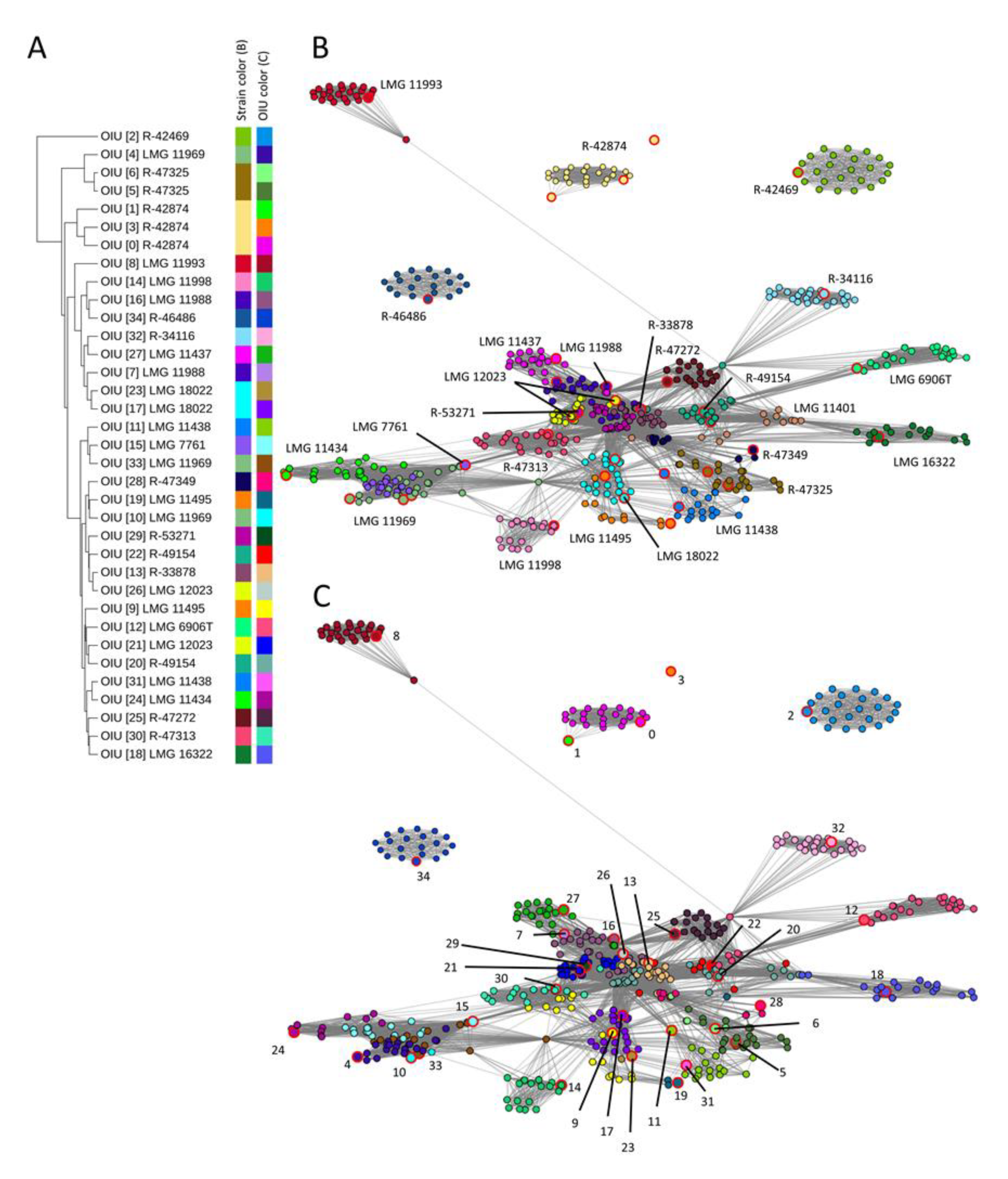 Microorganisms 09 00416 g001