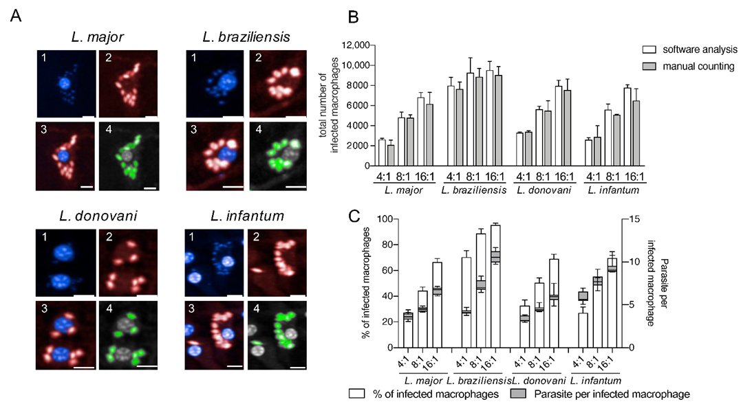 Microorganisms 09 00422 g002