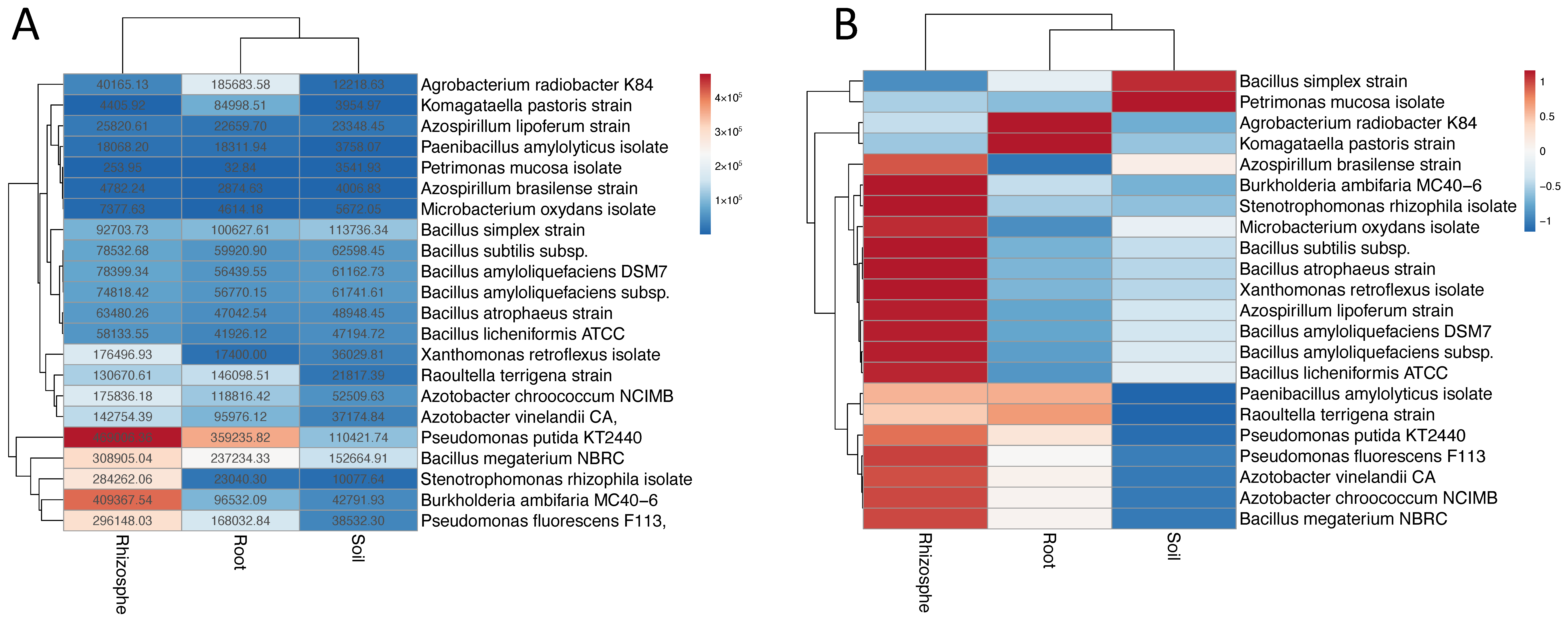 Microorganisms 09 00426 g001