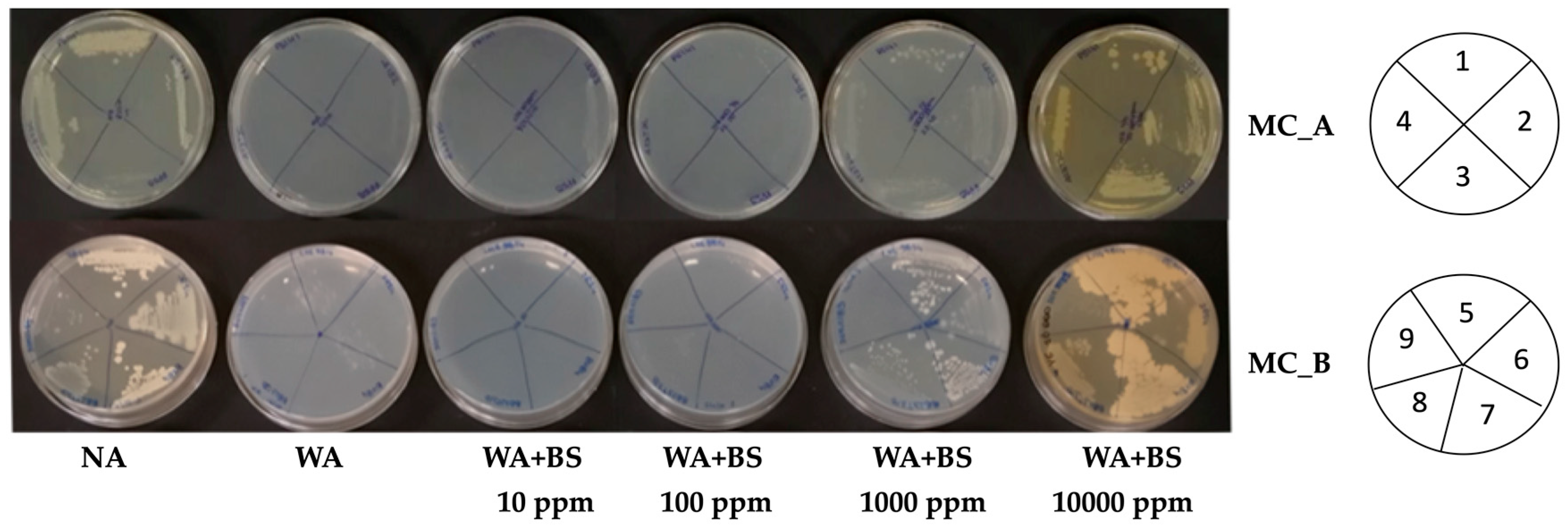 Microorganisms 09 00426 g003
