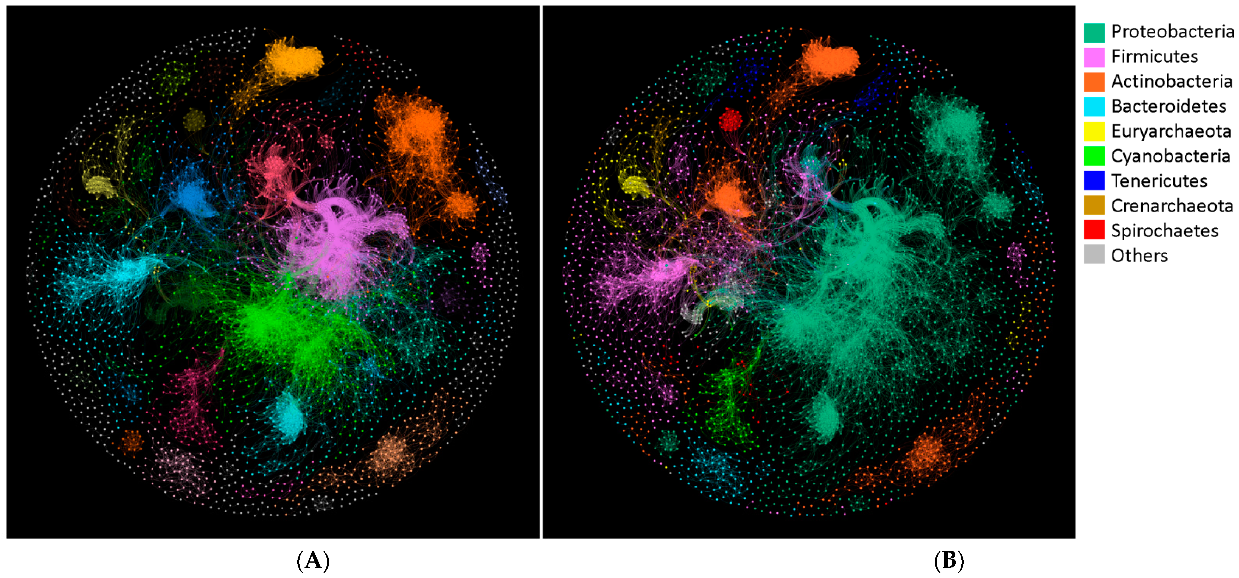 Microorganisms 09 00427 g003