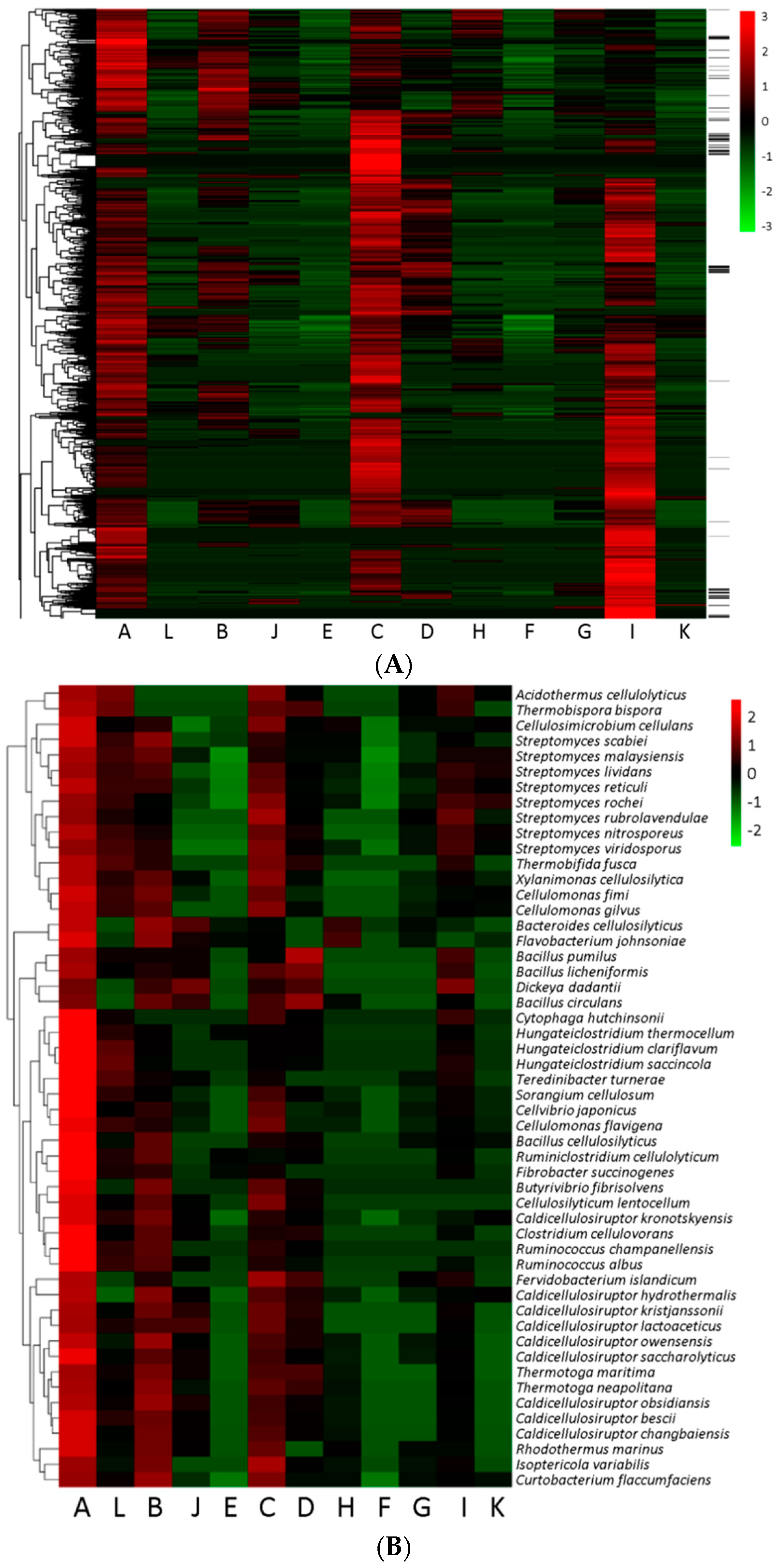 Microorganisms 09 00427 g004