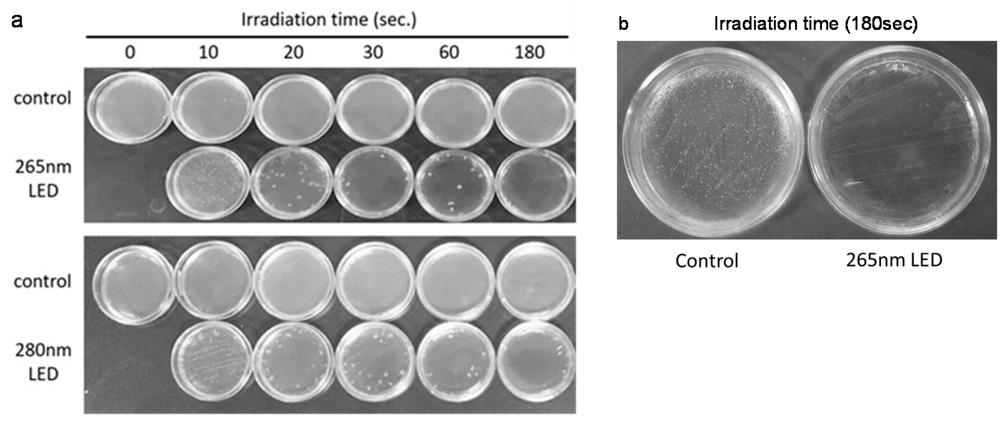 Microorganisms 09 00430 g003