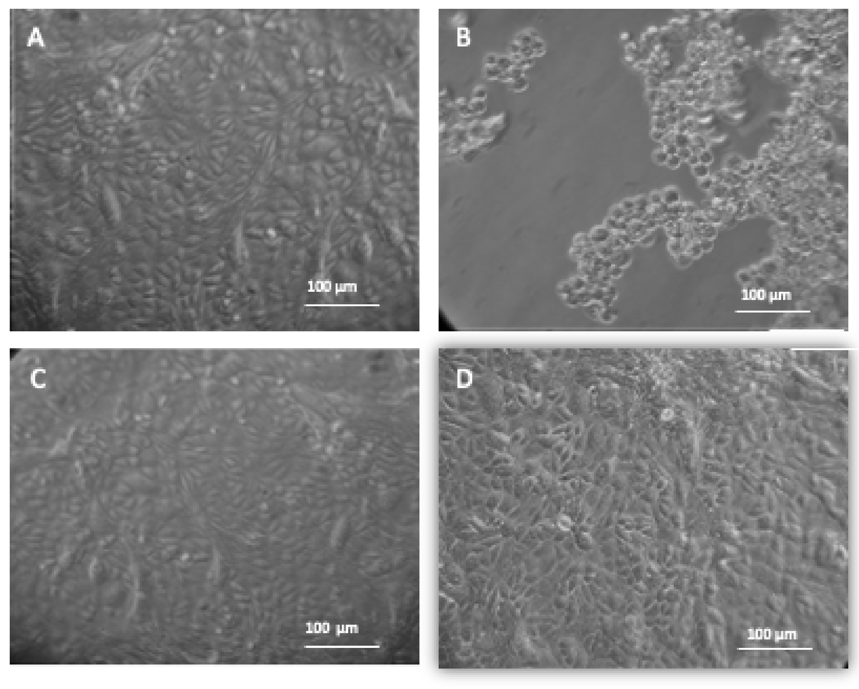 Microorganisms 09 00434 g004
