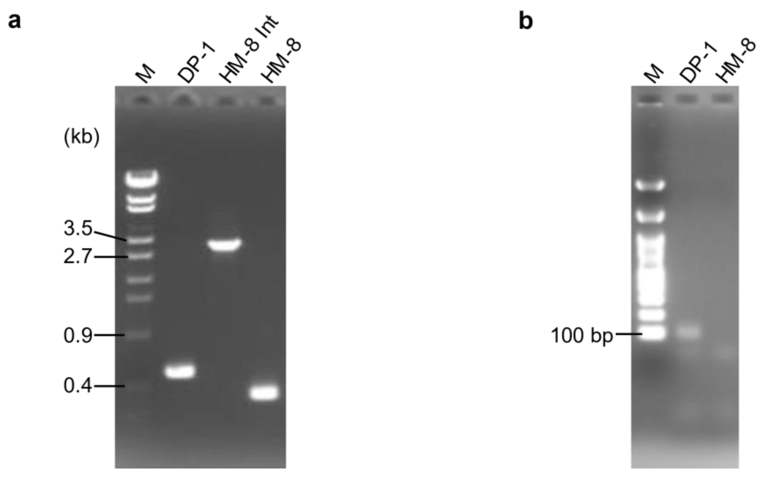 Microorganisms 09 00439 g001