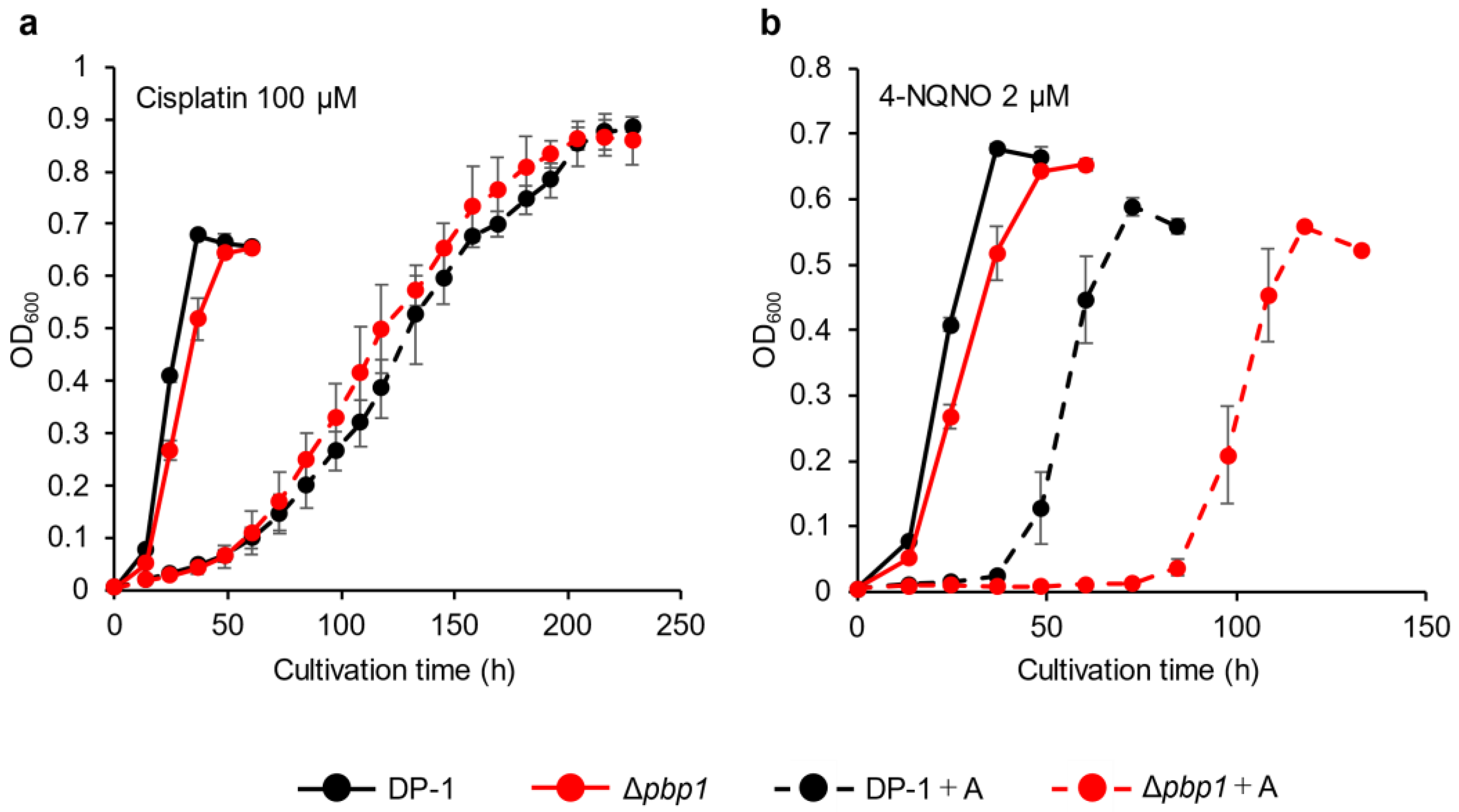 Microorganisms 09 00439 g004