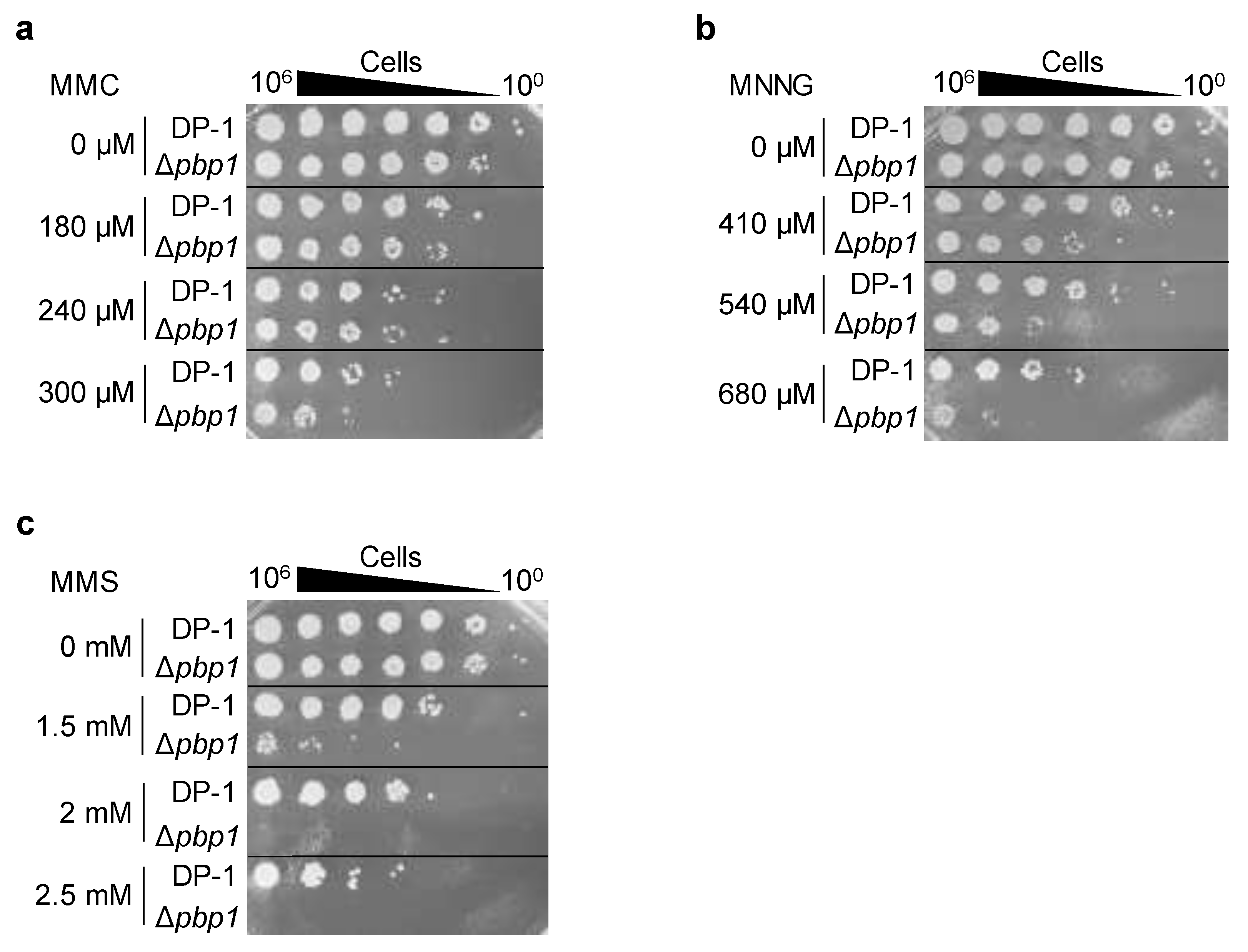Microorganisms 09 00439 g005