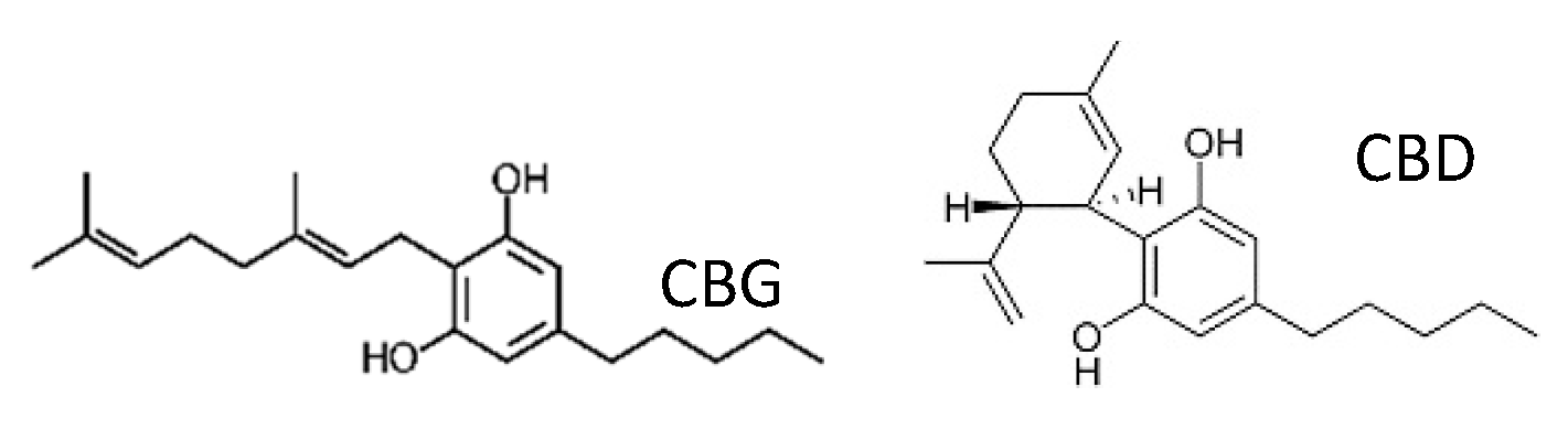 Microorganisms 09 00441 i001 Microorganisms 09 00441 i001