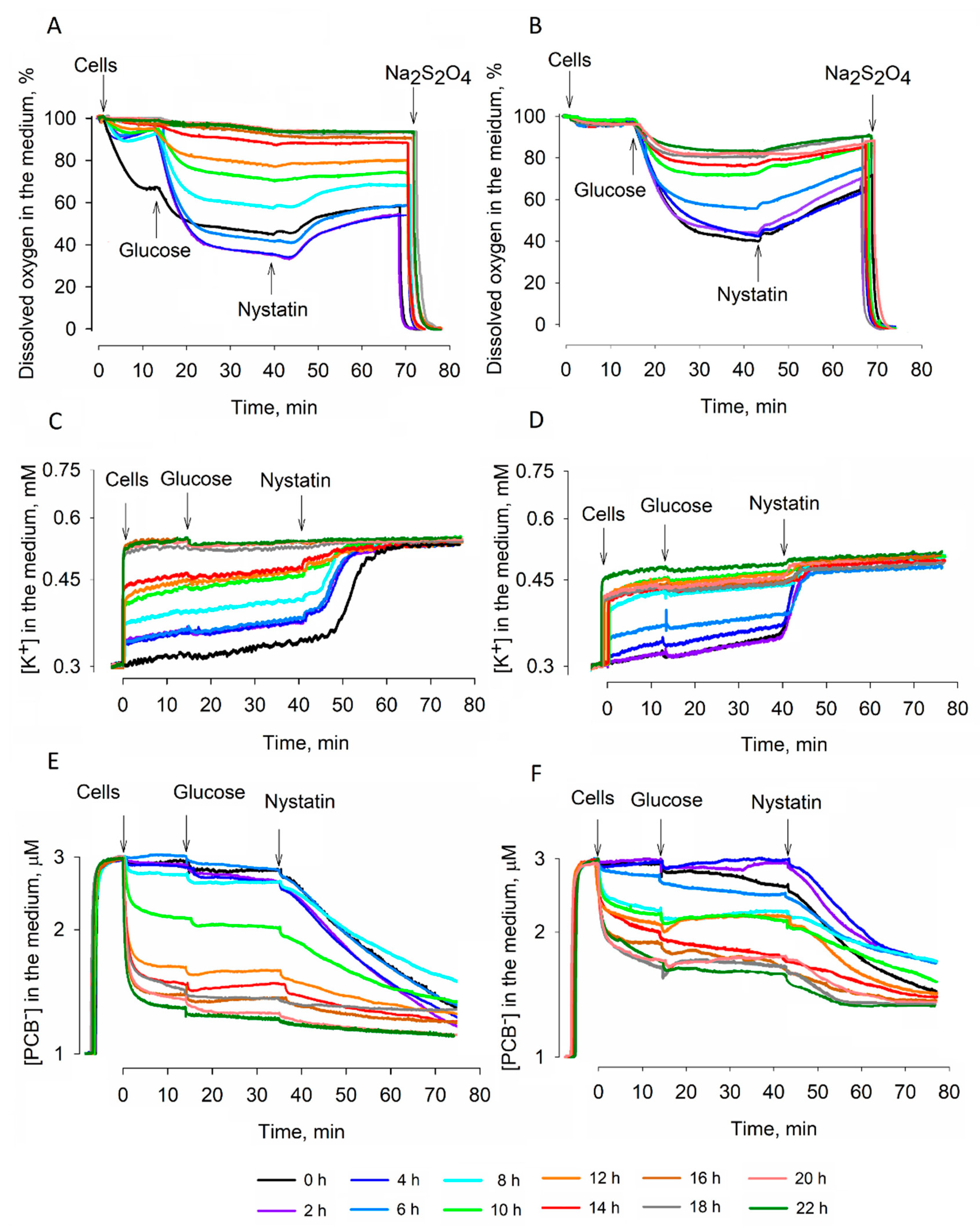 Microorganisms 09 00444 g001