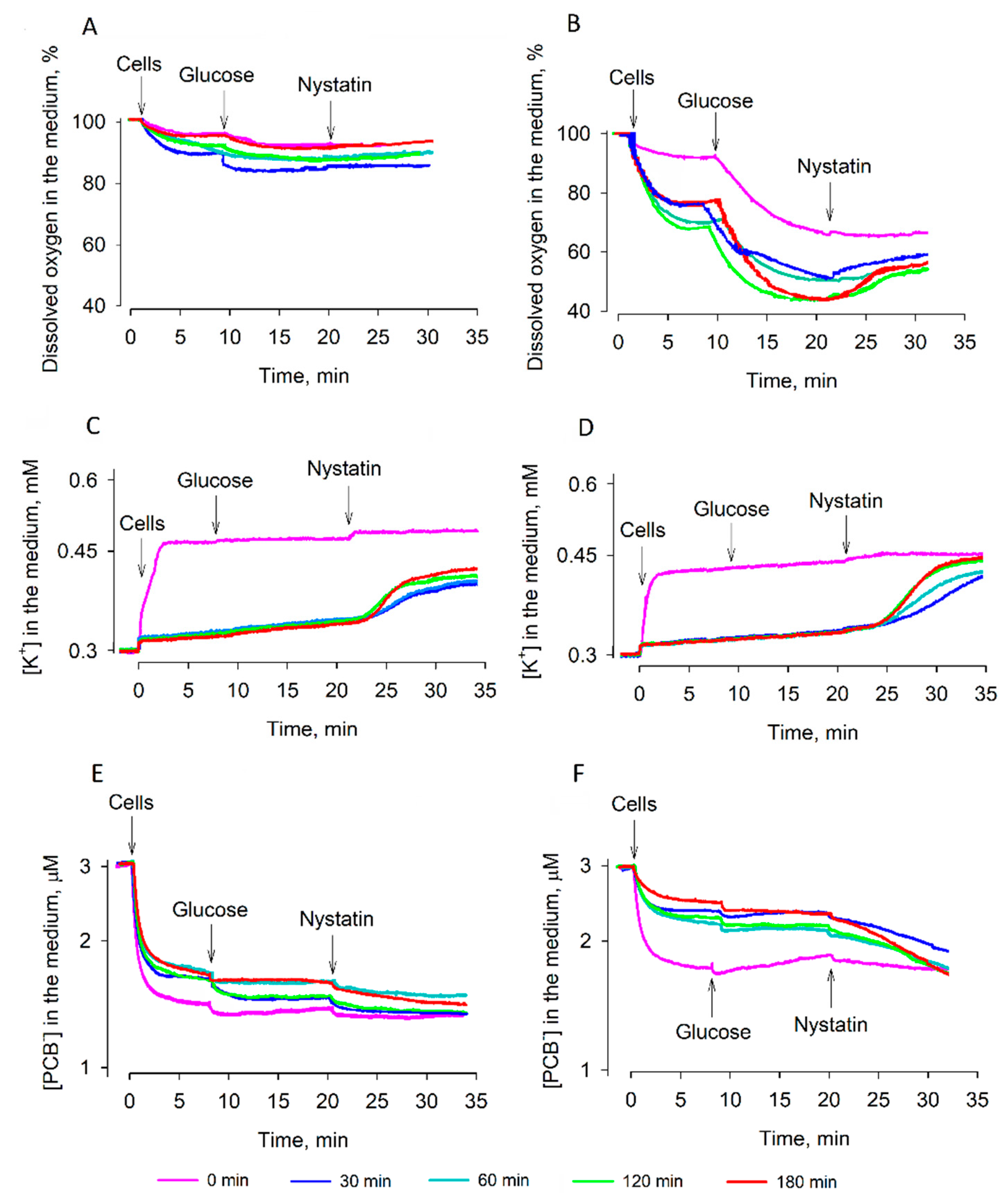 Microorganisms 09 00444 g004