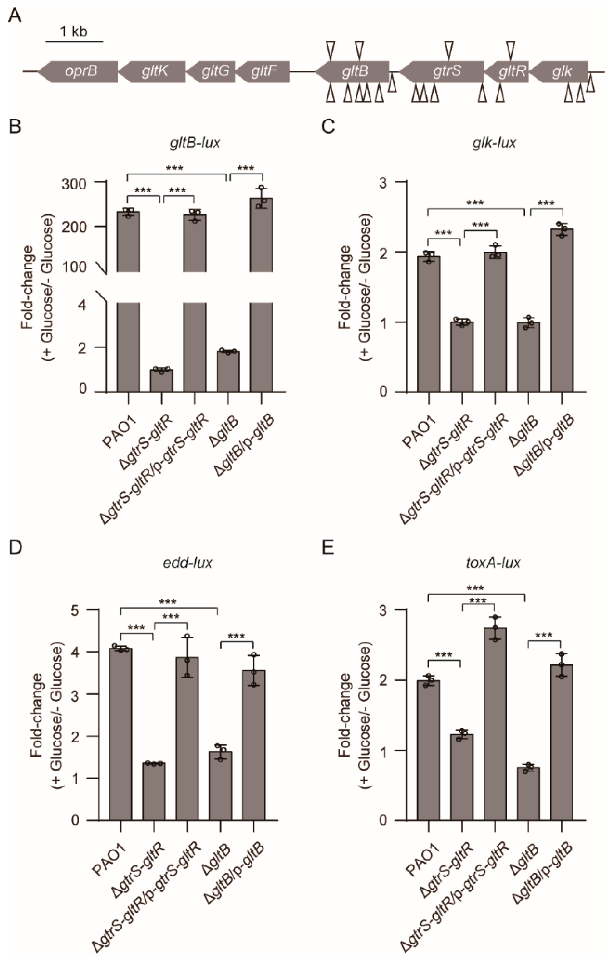 Microorganisms 09 00447 g004
