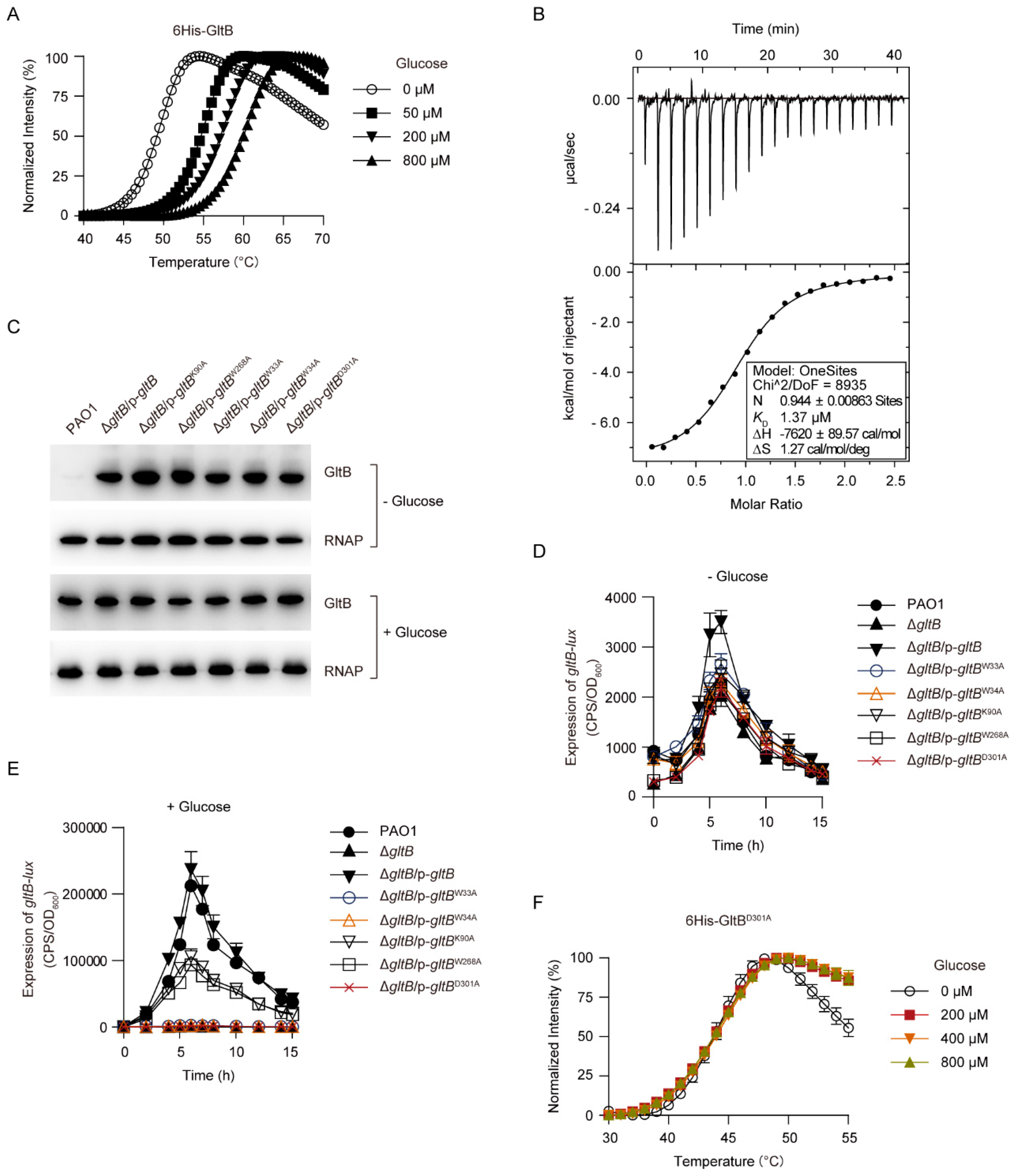 Microorganisms 09 00447 g006