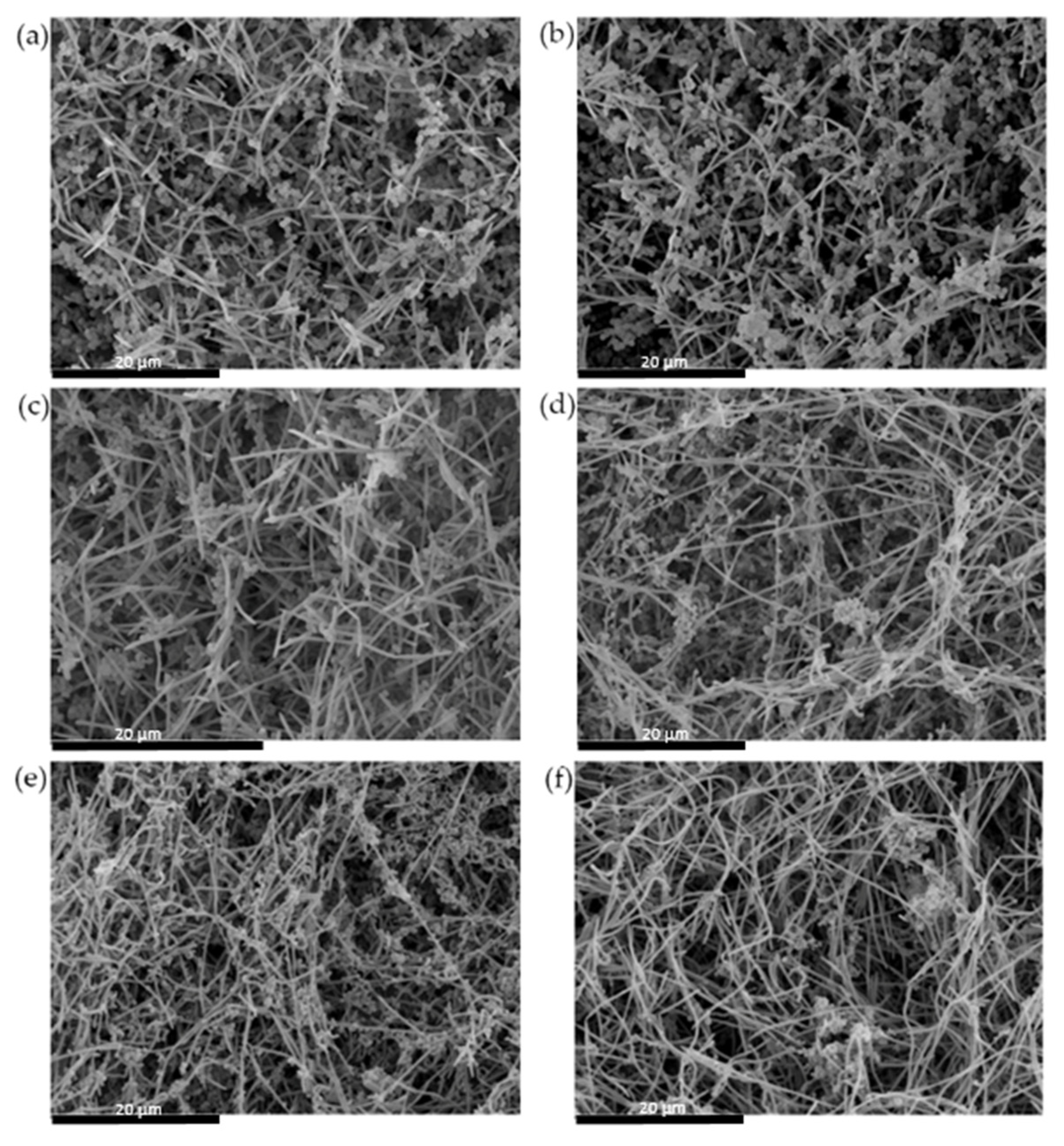 Microorganisms 09 00450 g004