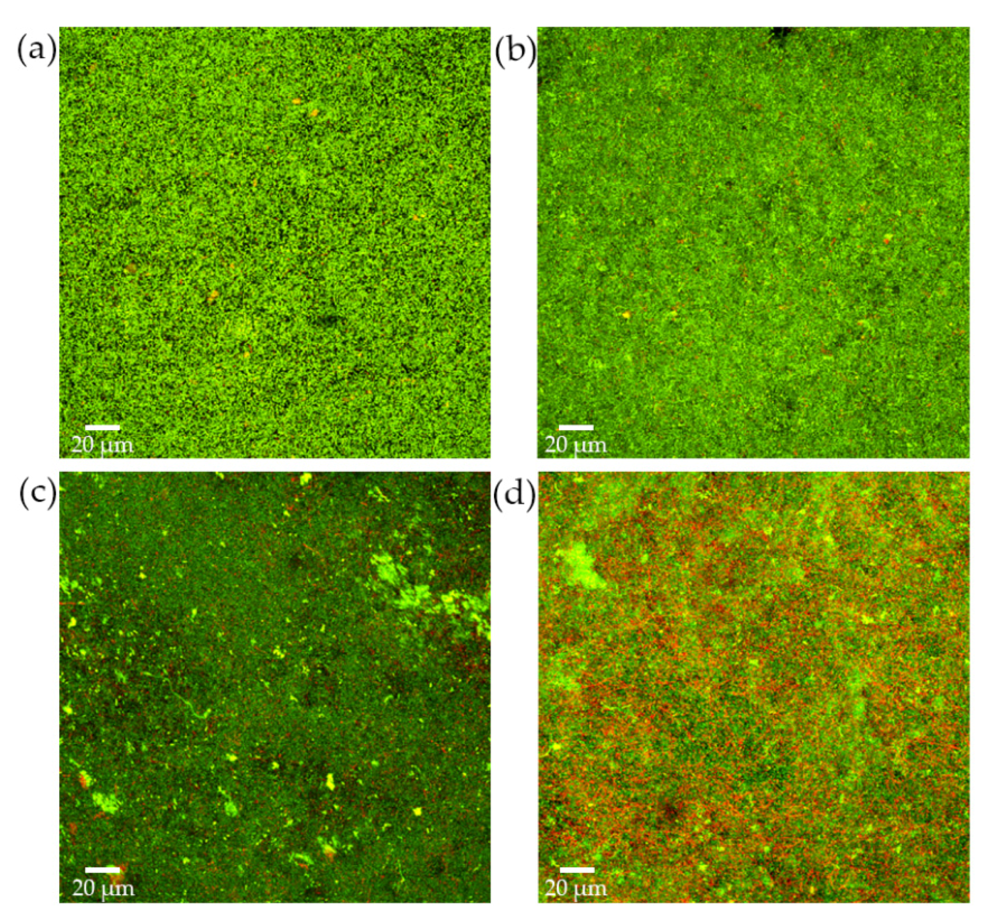 Microorganisms 09 00450 g006