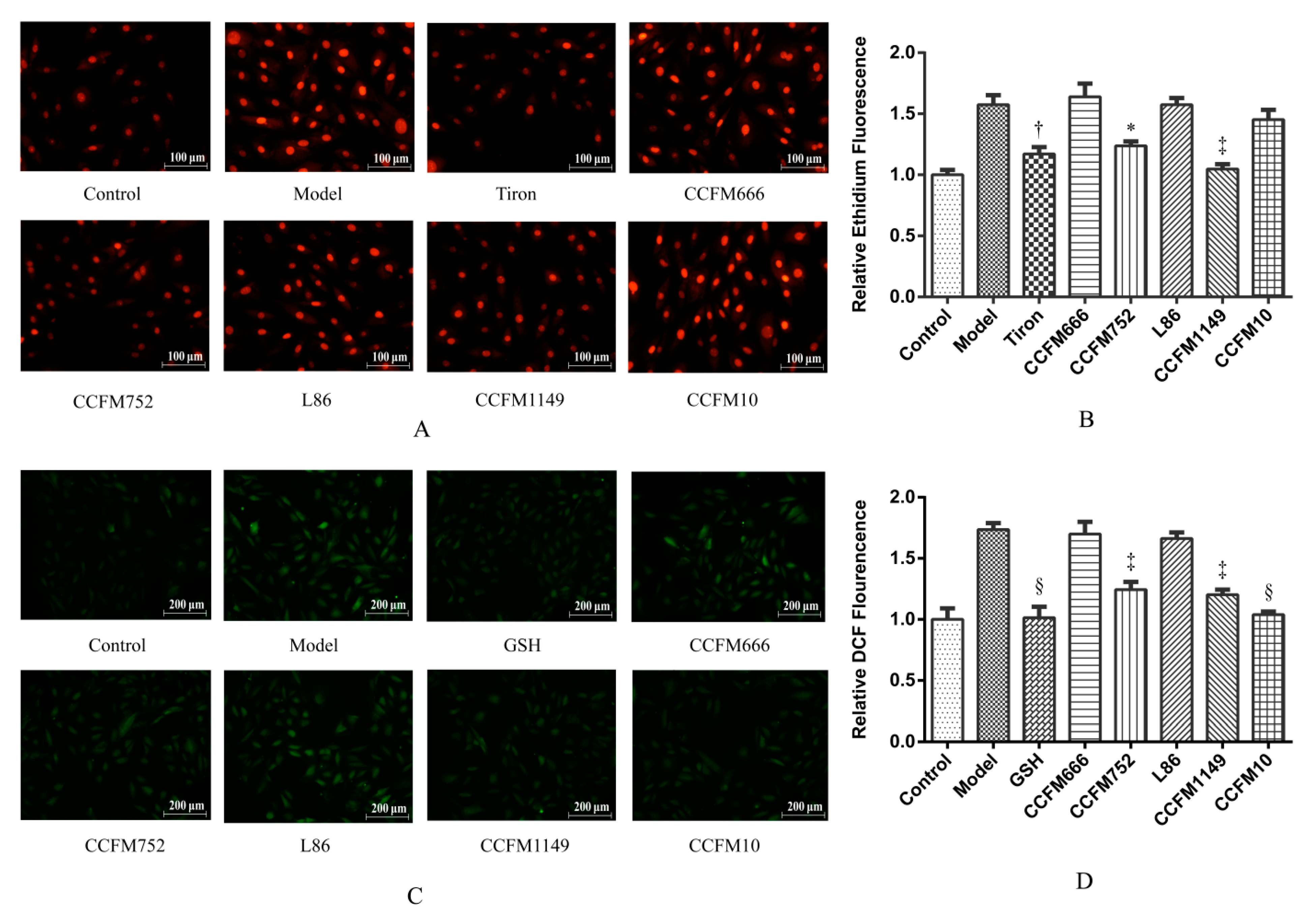 Microorganisms 09 00452 g001