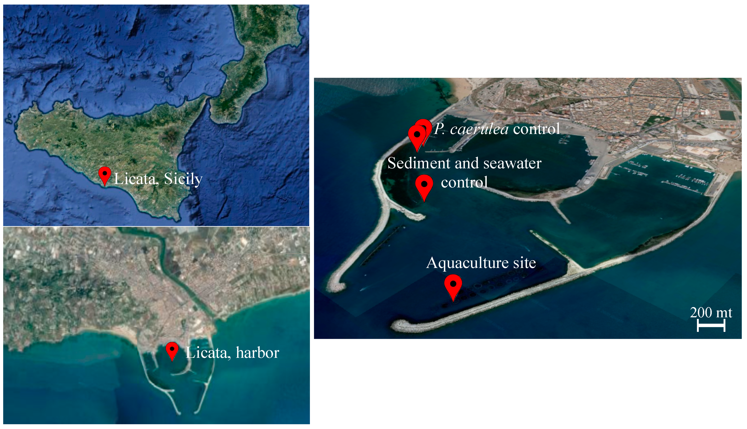 Microorganisms 09 00455 g001