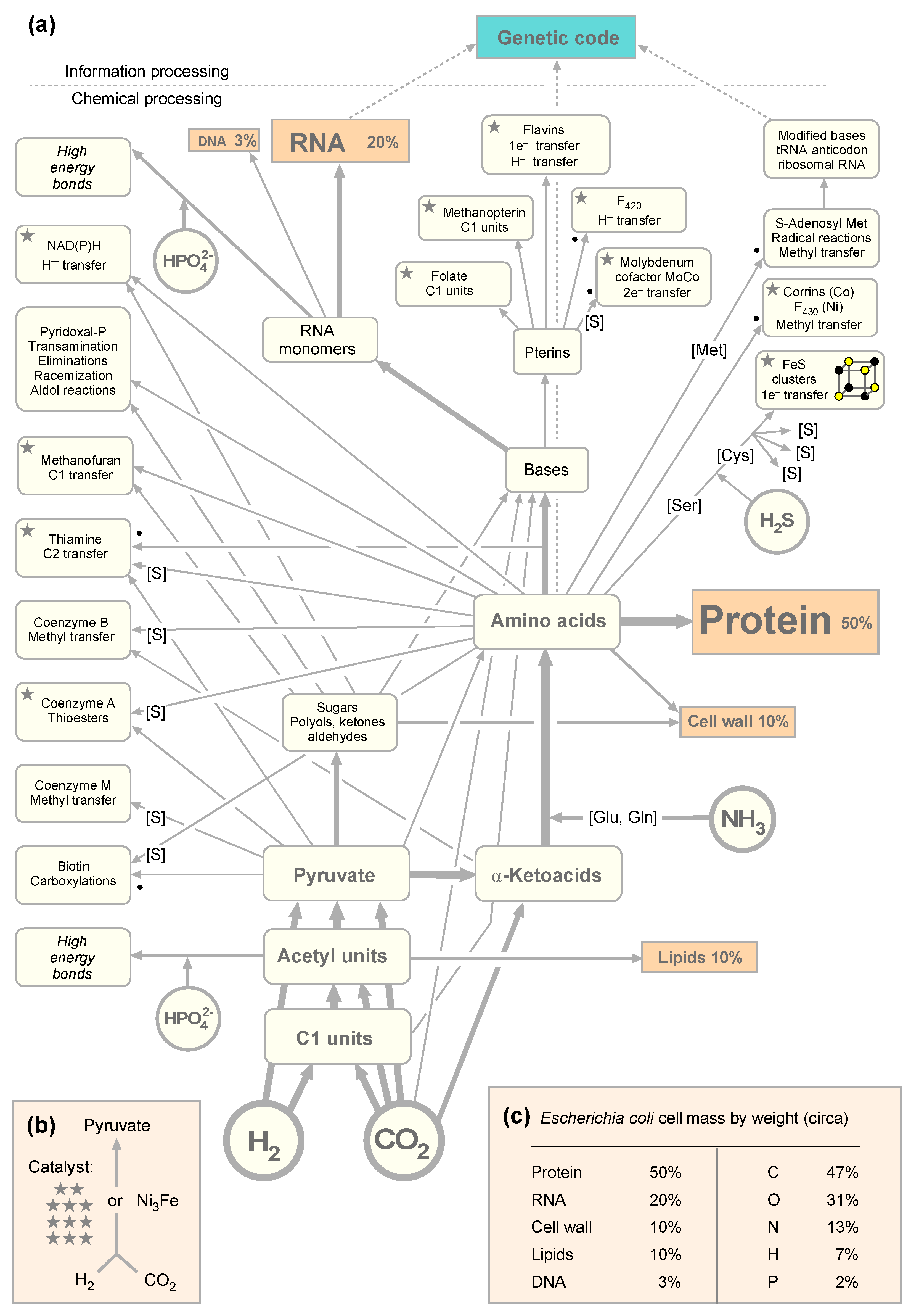 Microorganisms 09 00458 g001