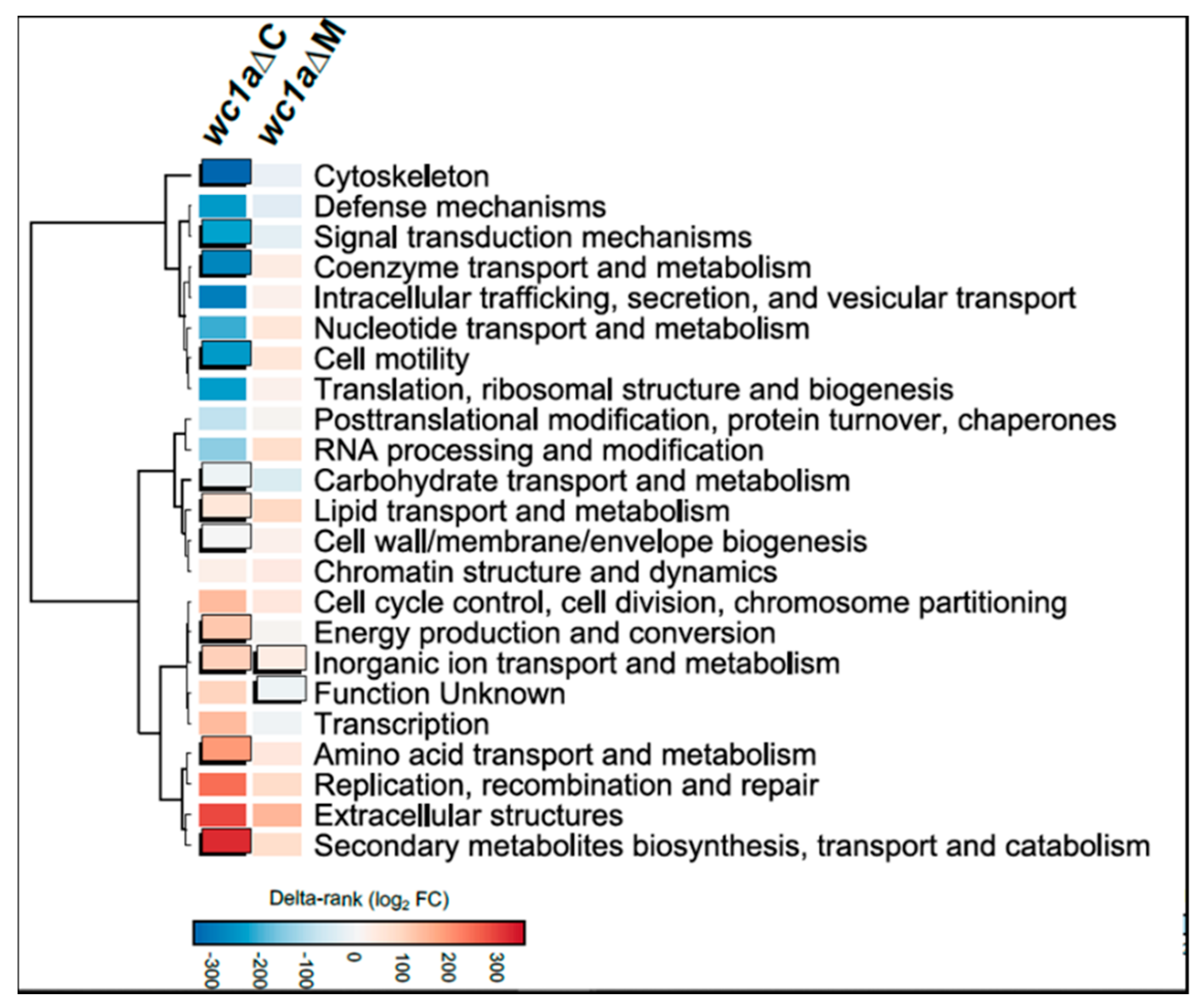 Microorganisms 09 00459 g003