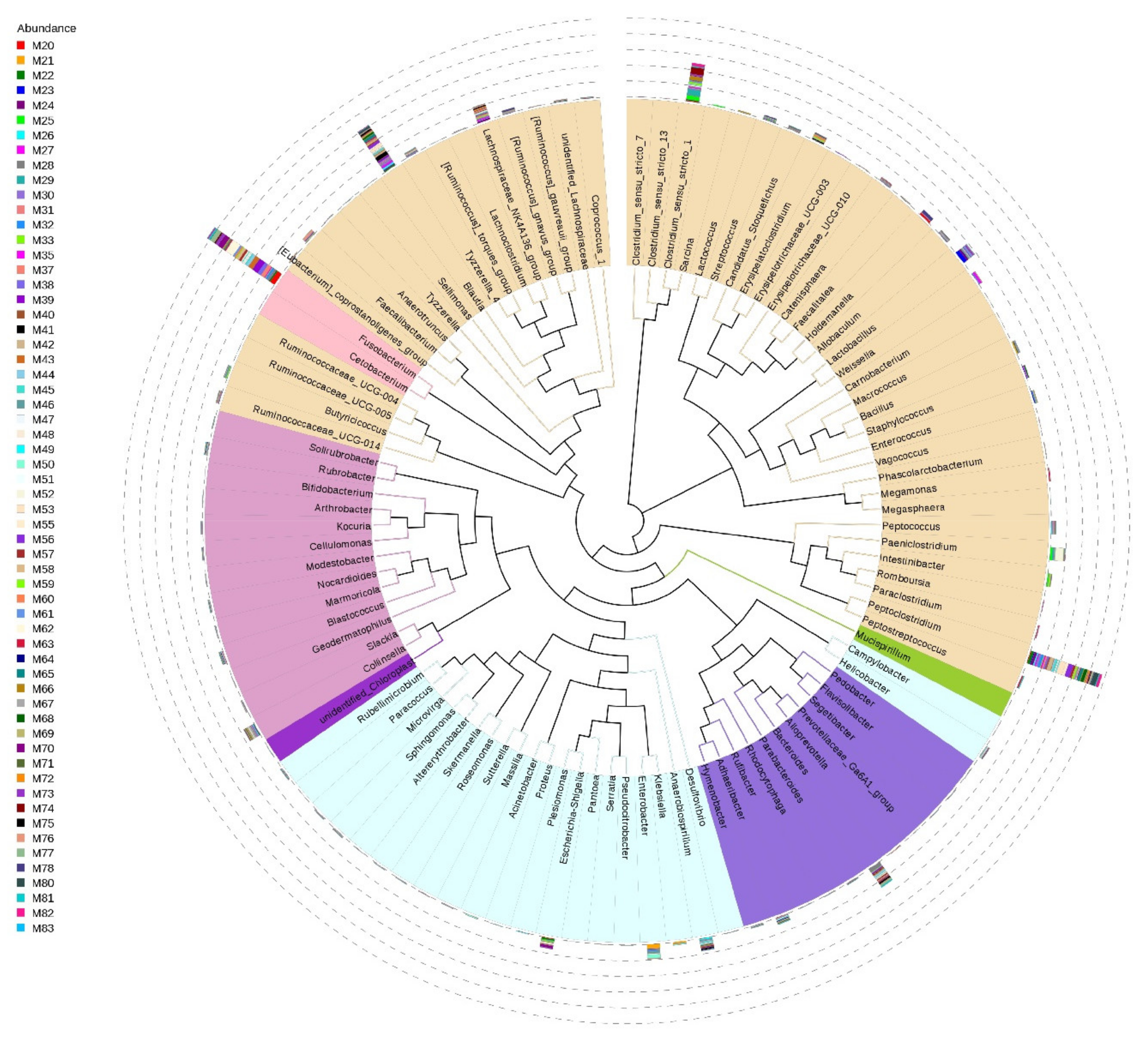 Microorganisms 09 00465 g003