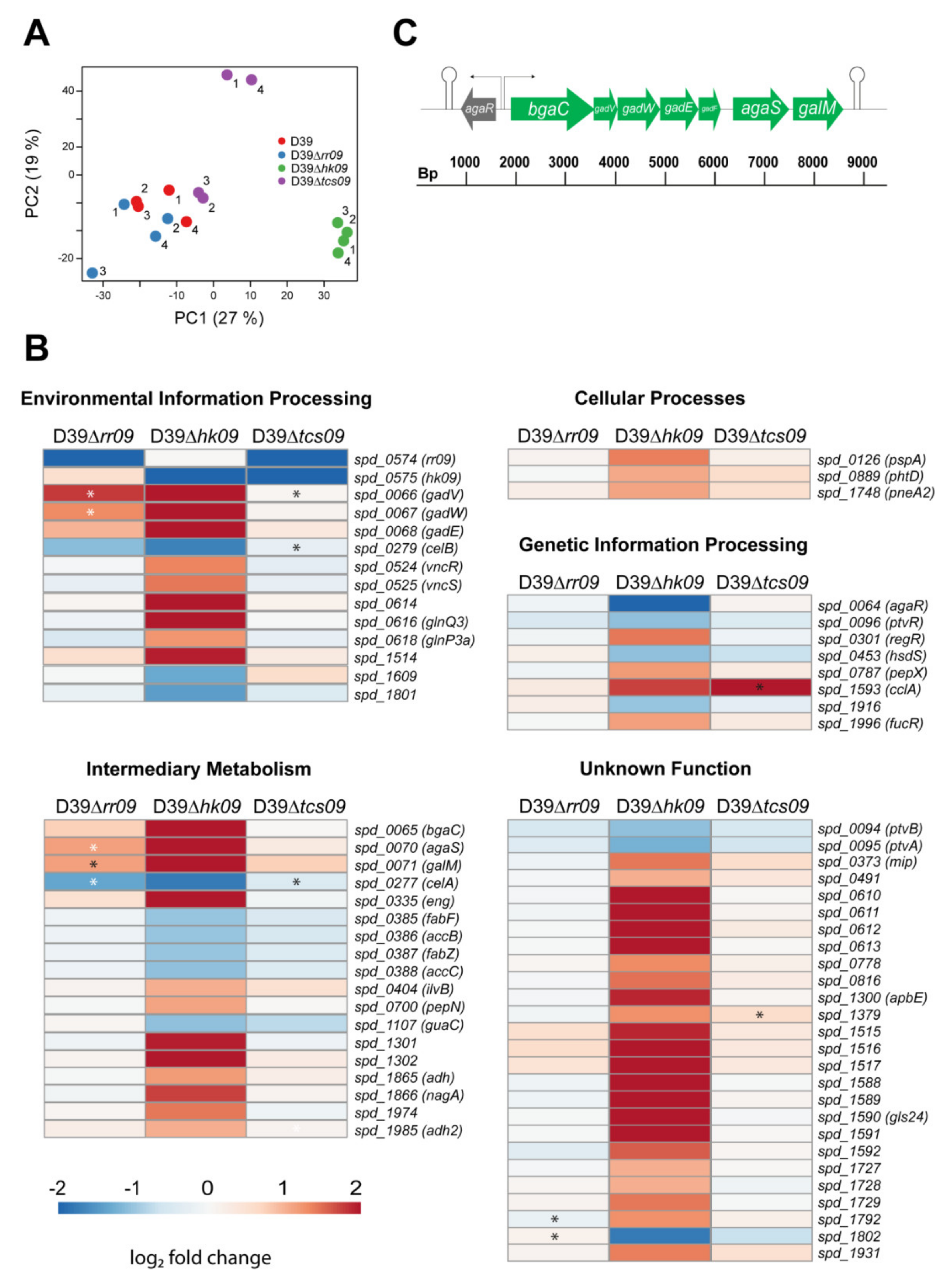 Microorganisms 09 00468 g002 Microorganisms 09 00468 g002