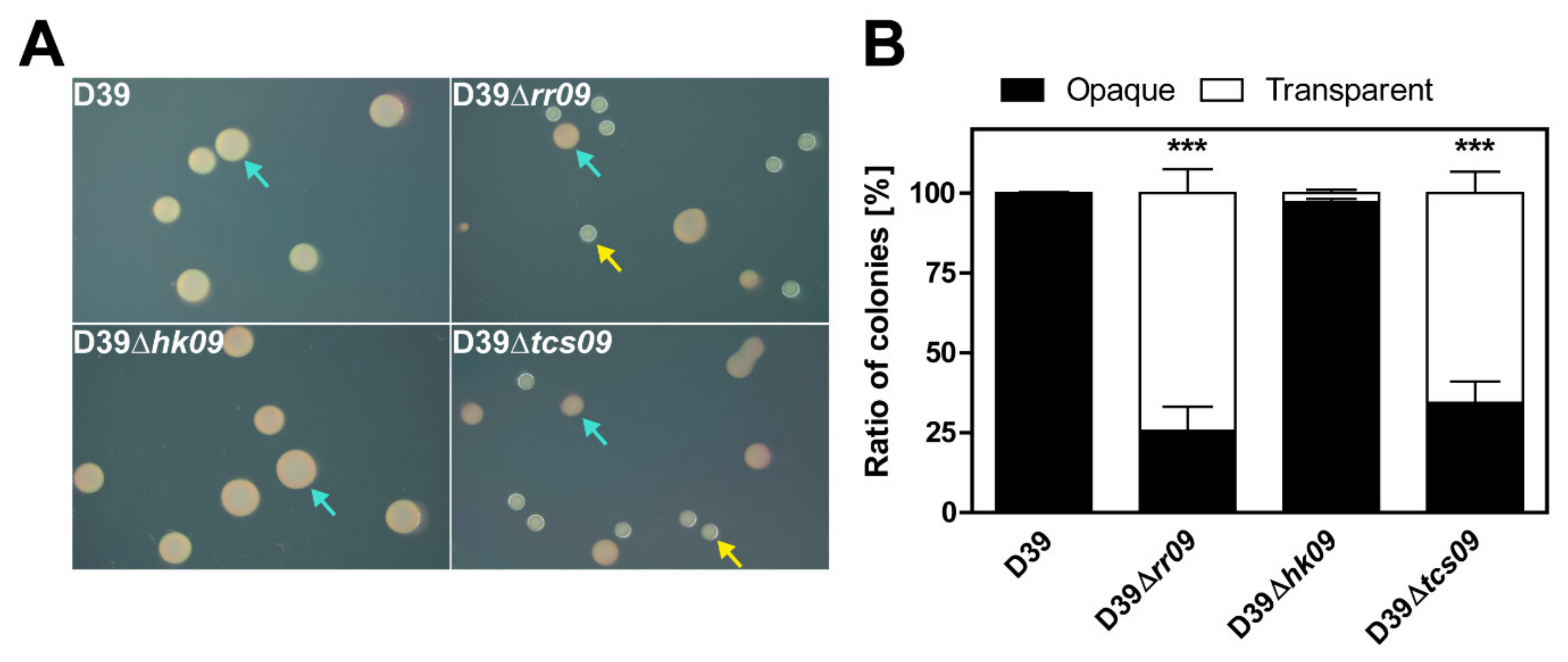 Microorganisms 09 00468 g006 Microorganisms 09 00468 g006