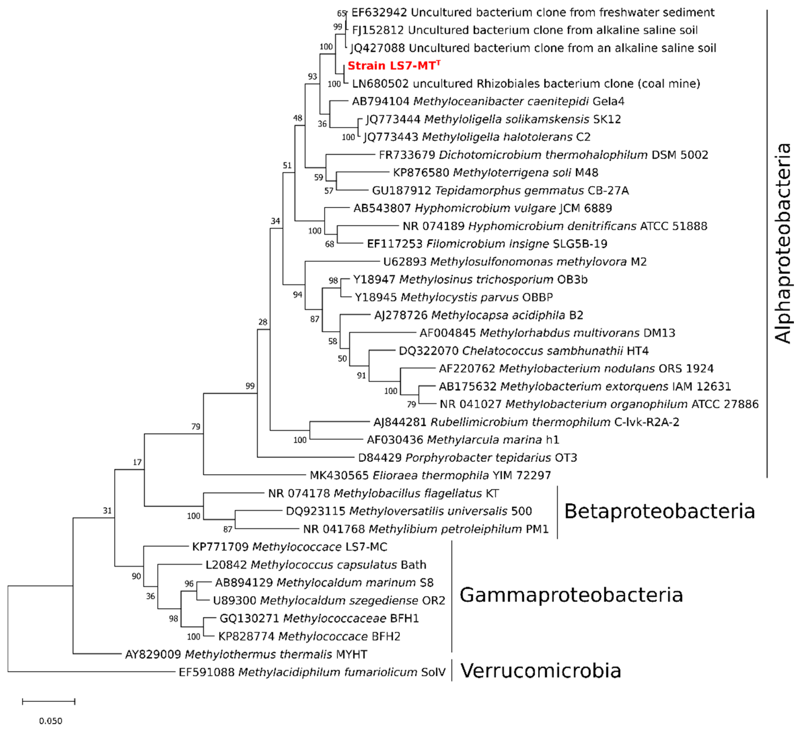 Microorganisms 09 00477 g002