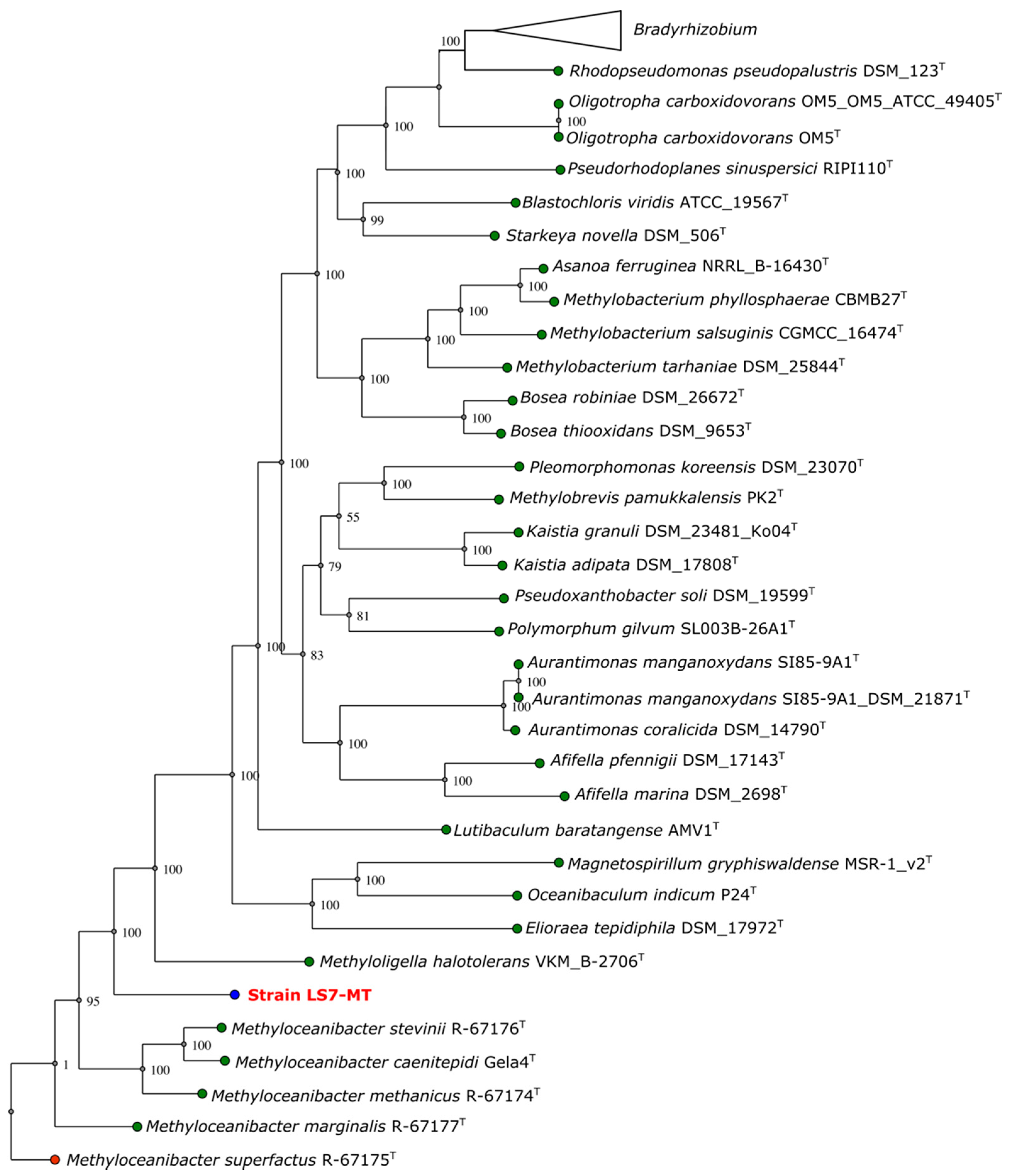 Microorganisms 09 00477 g003