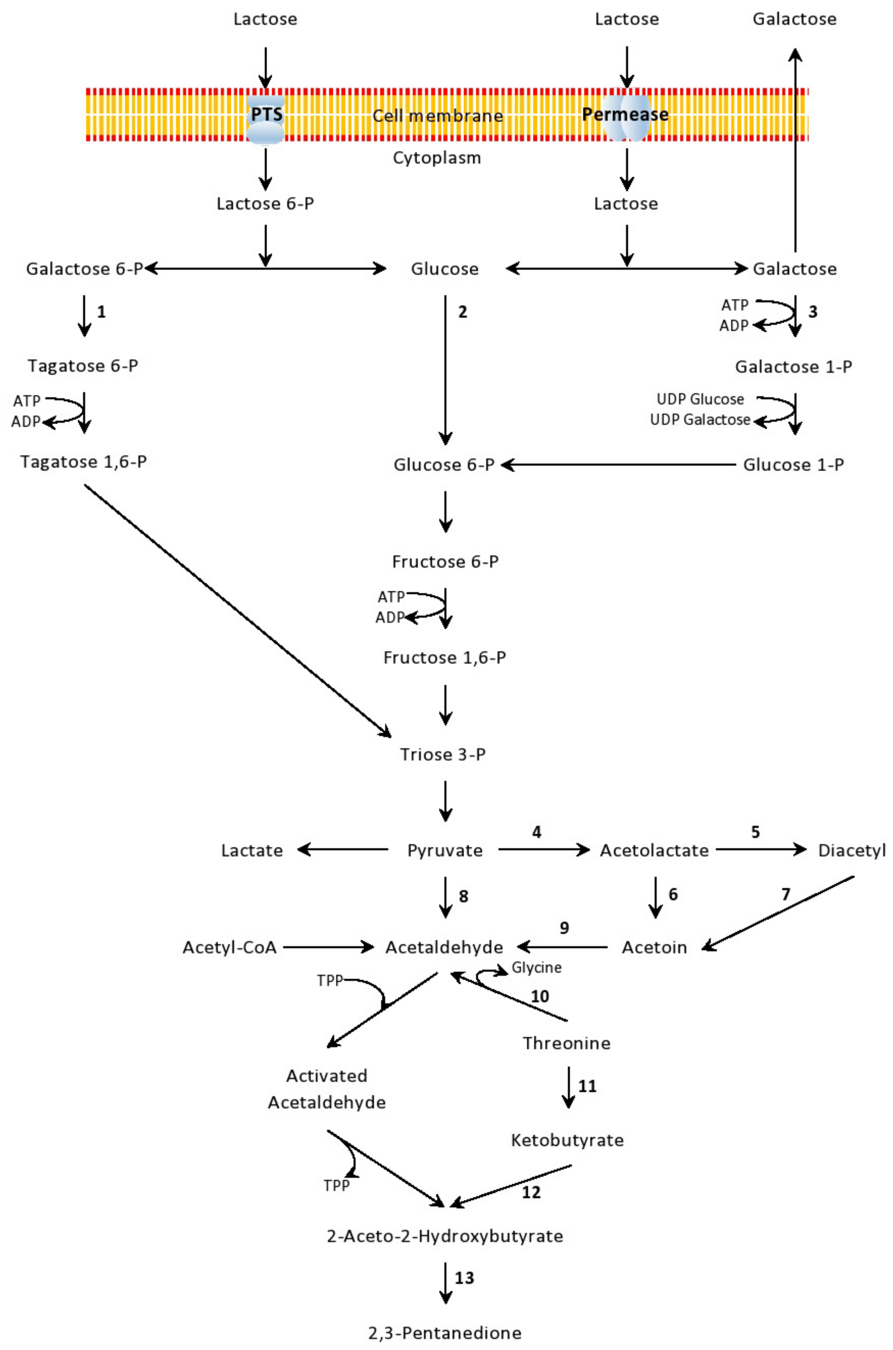Microorganisms 09 00480 g002