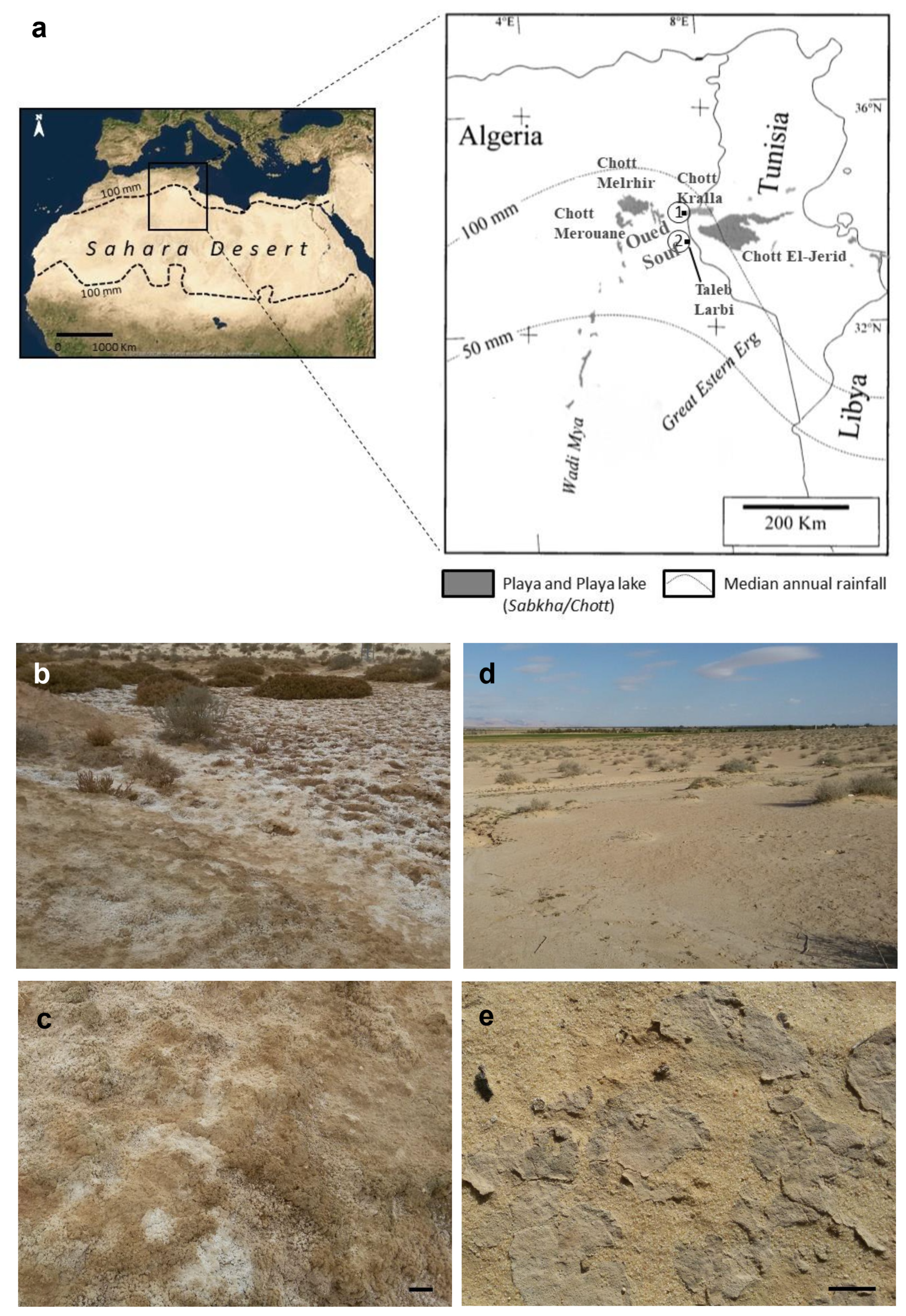 Microorganisms 09 00487 g001 Microorganisms 09 00487 g001