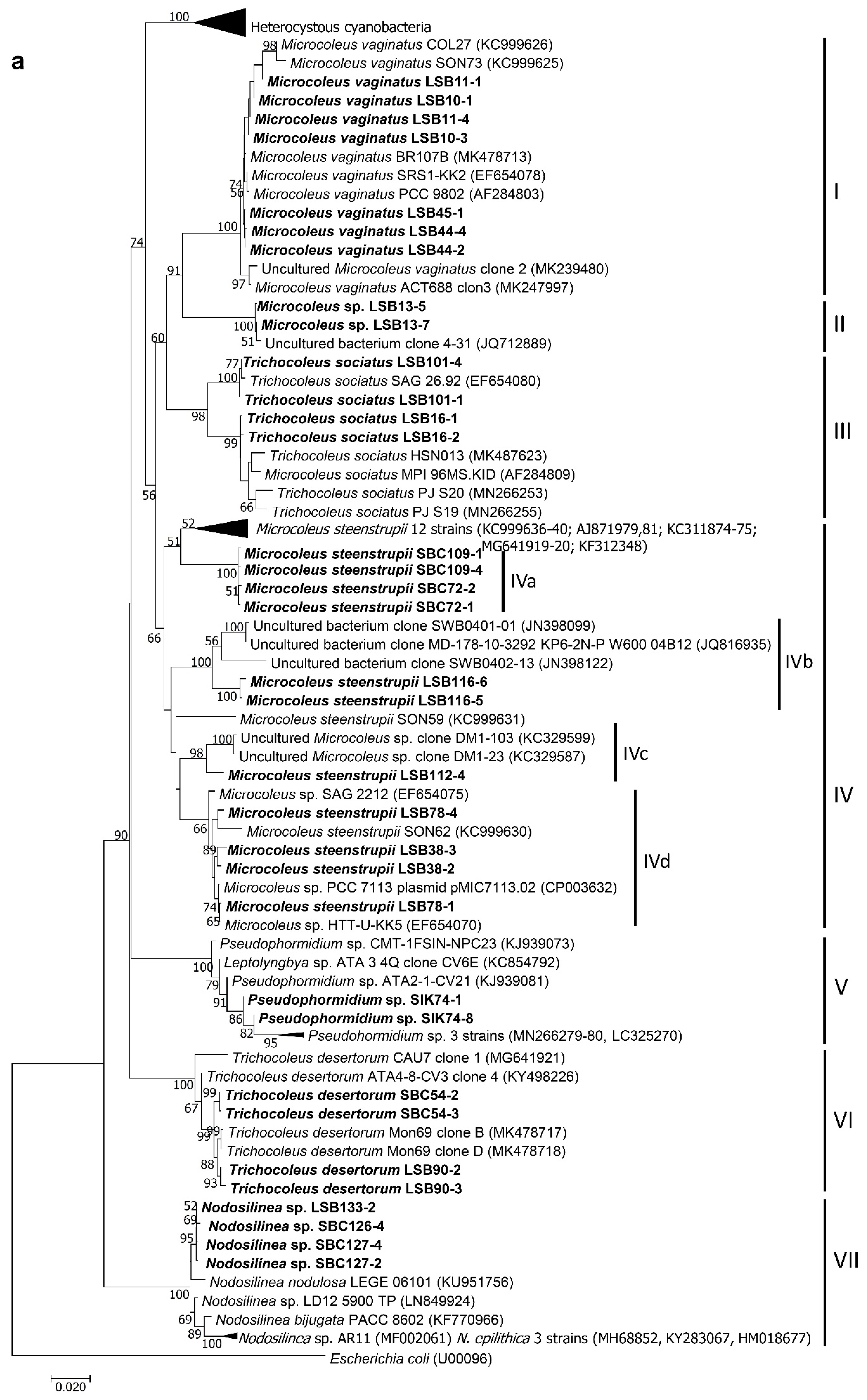 Microorganisms 09 00487 g003a Microorganisms 09 00487 g003a