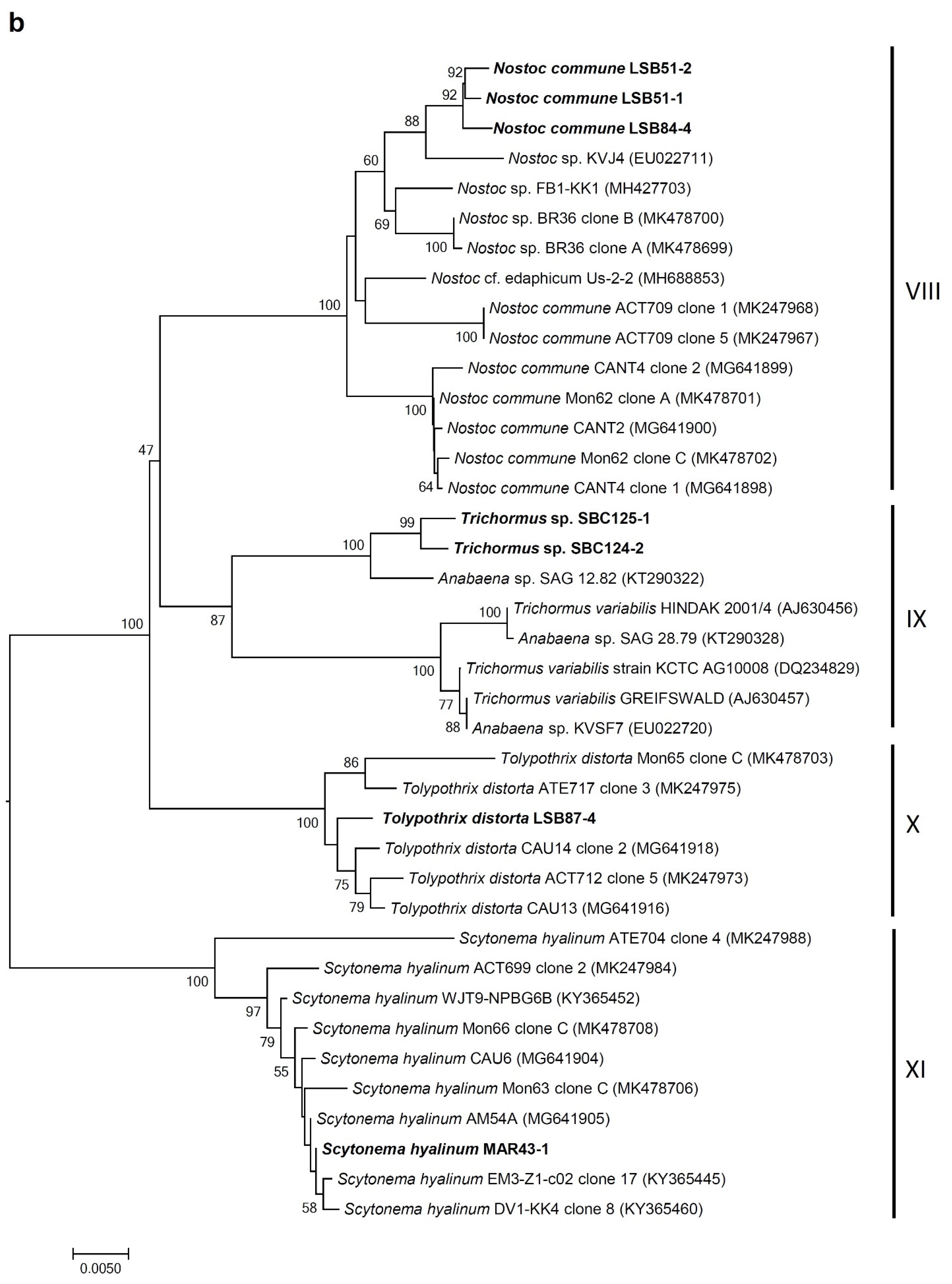 Microorganisms 09 00487 g003b Microorganisms 09 00487 g003b