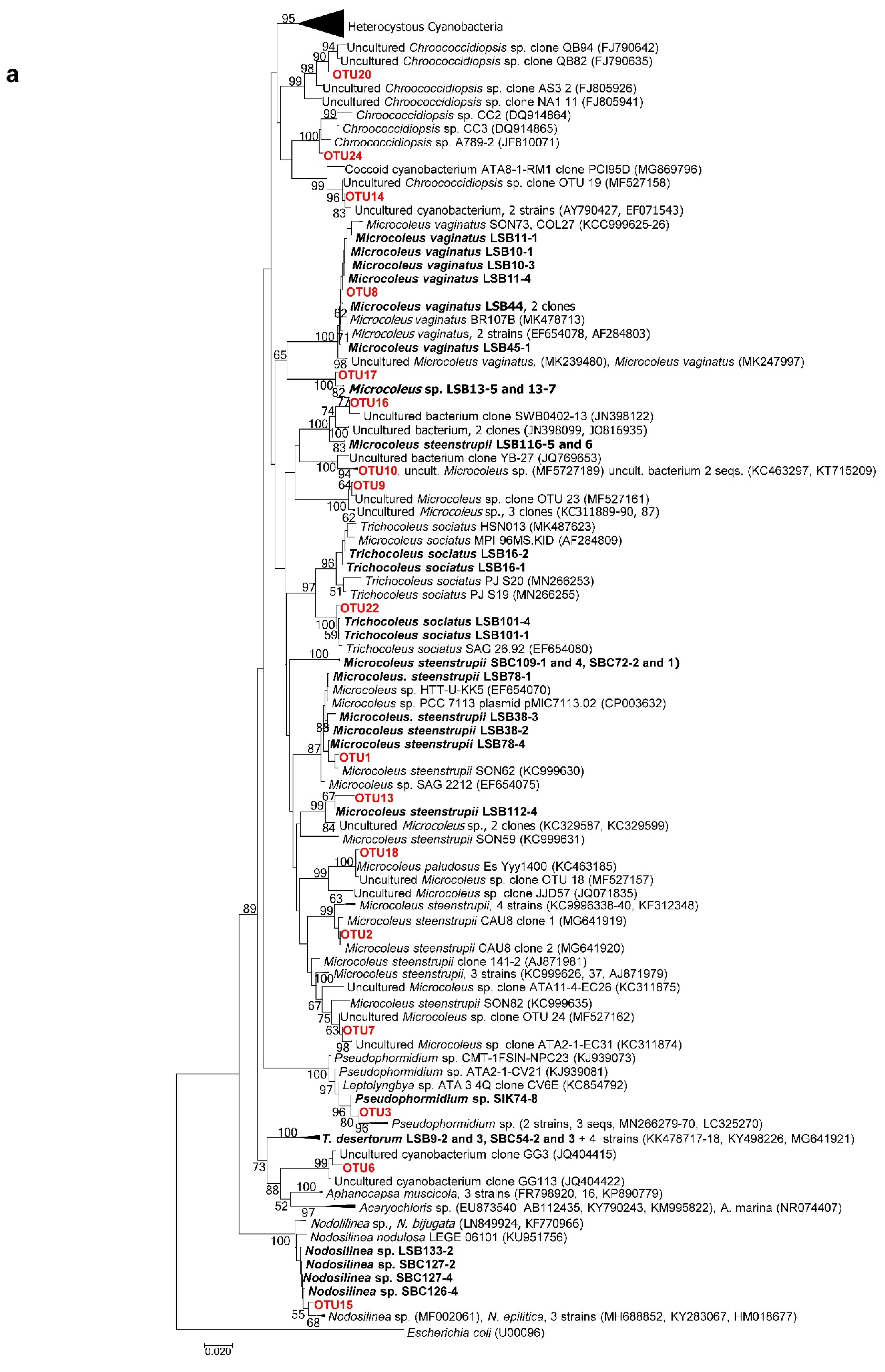 Microorganisms 09 00487 g006a Microorganisms 09 00487 g006a