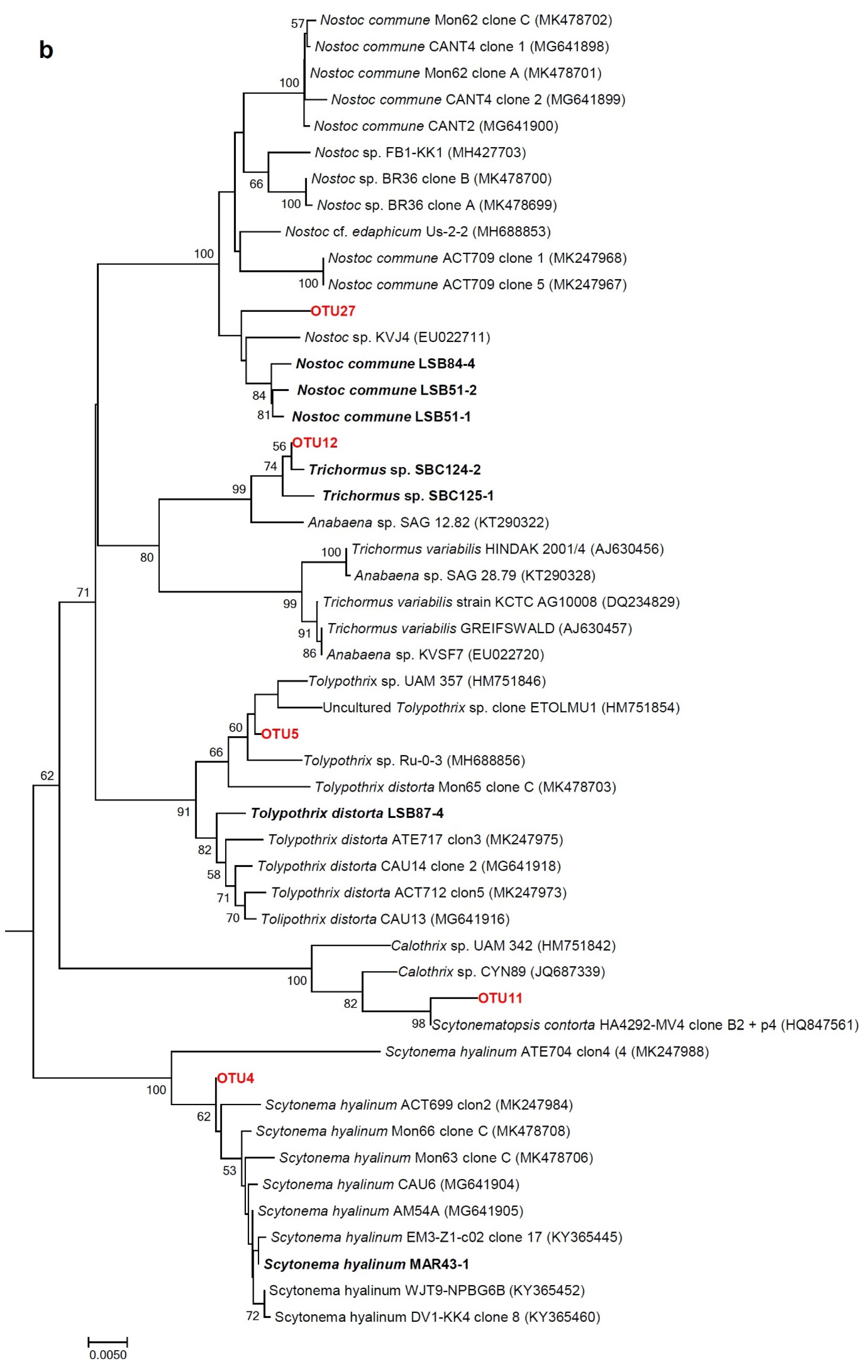 Microorganisms 09 00487 g006b Microorganisms 09 00487 g006b