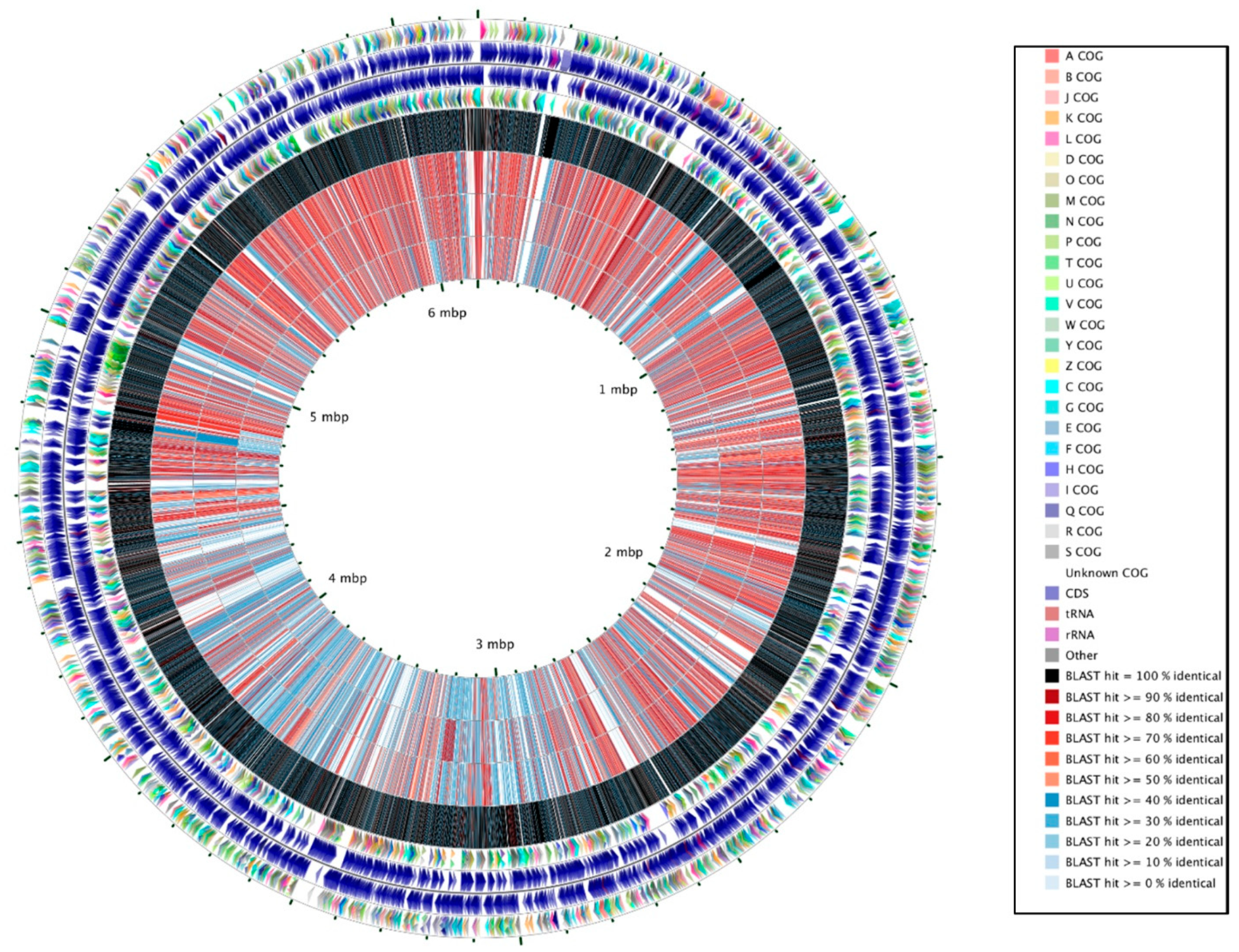 Microorganisms 09 00490 g001
