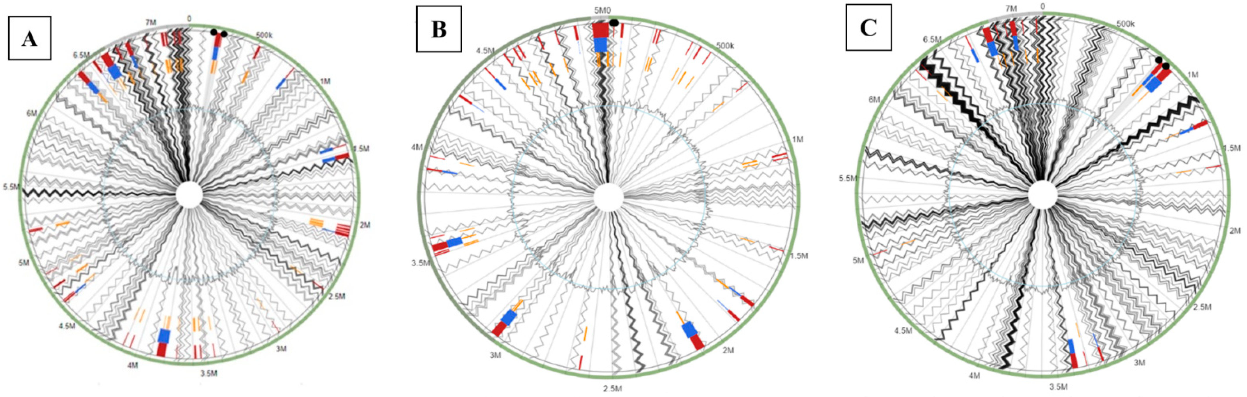 Microorganisms 09 00490 g004