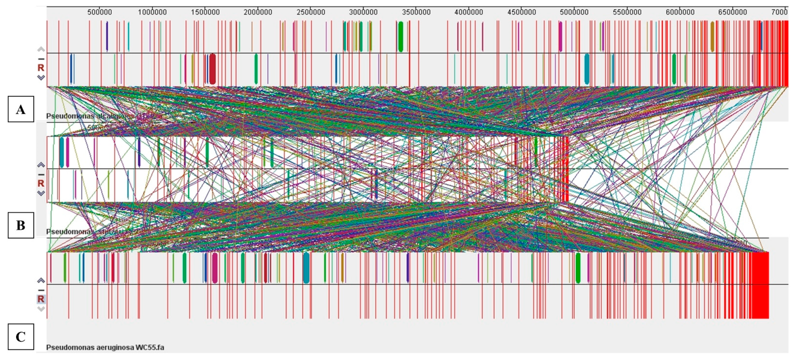 Microorganisms 09 00490 g006