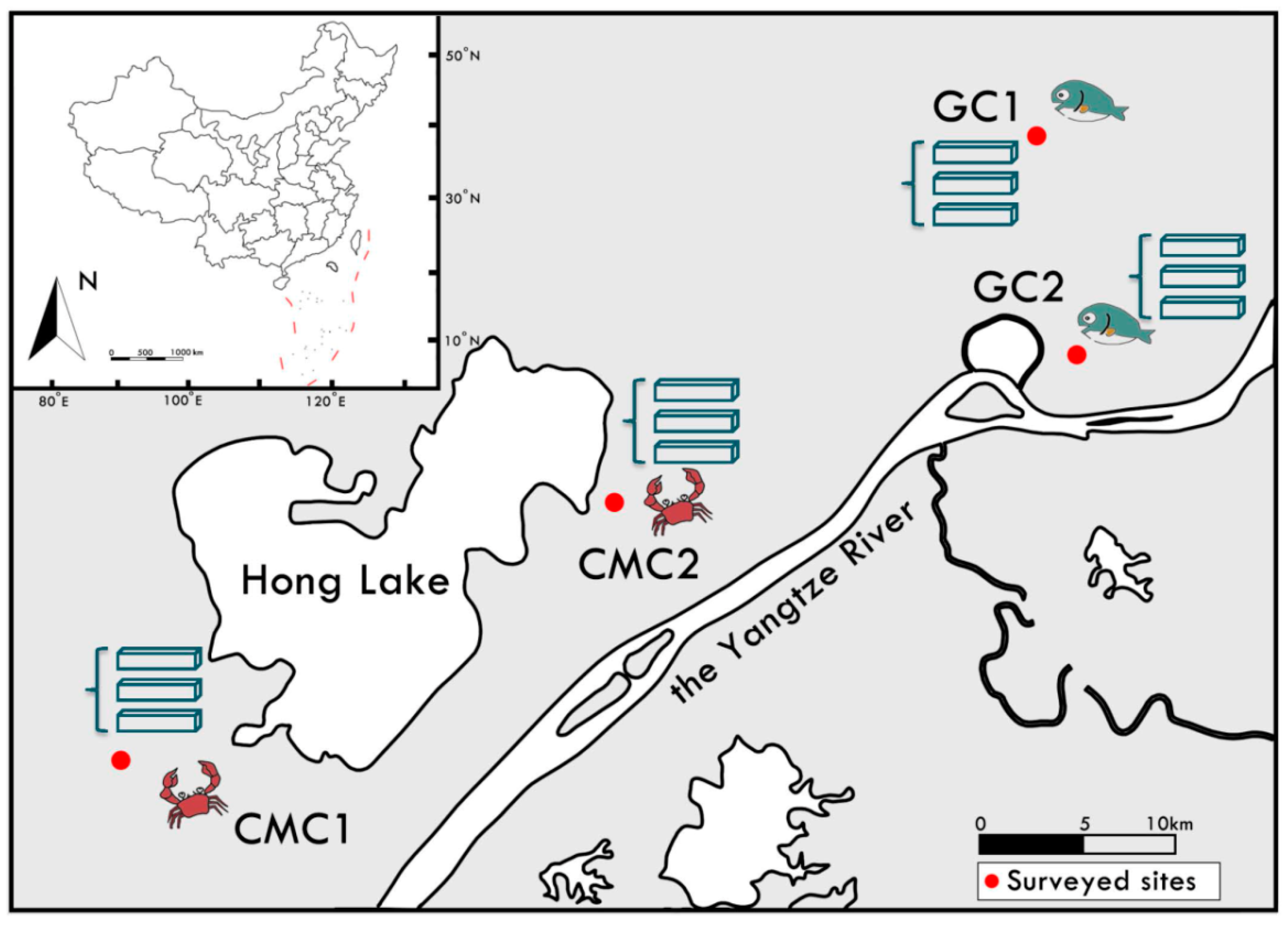 Microorganisms 09 00501 g001