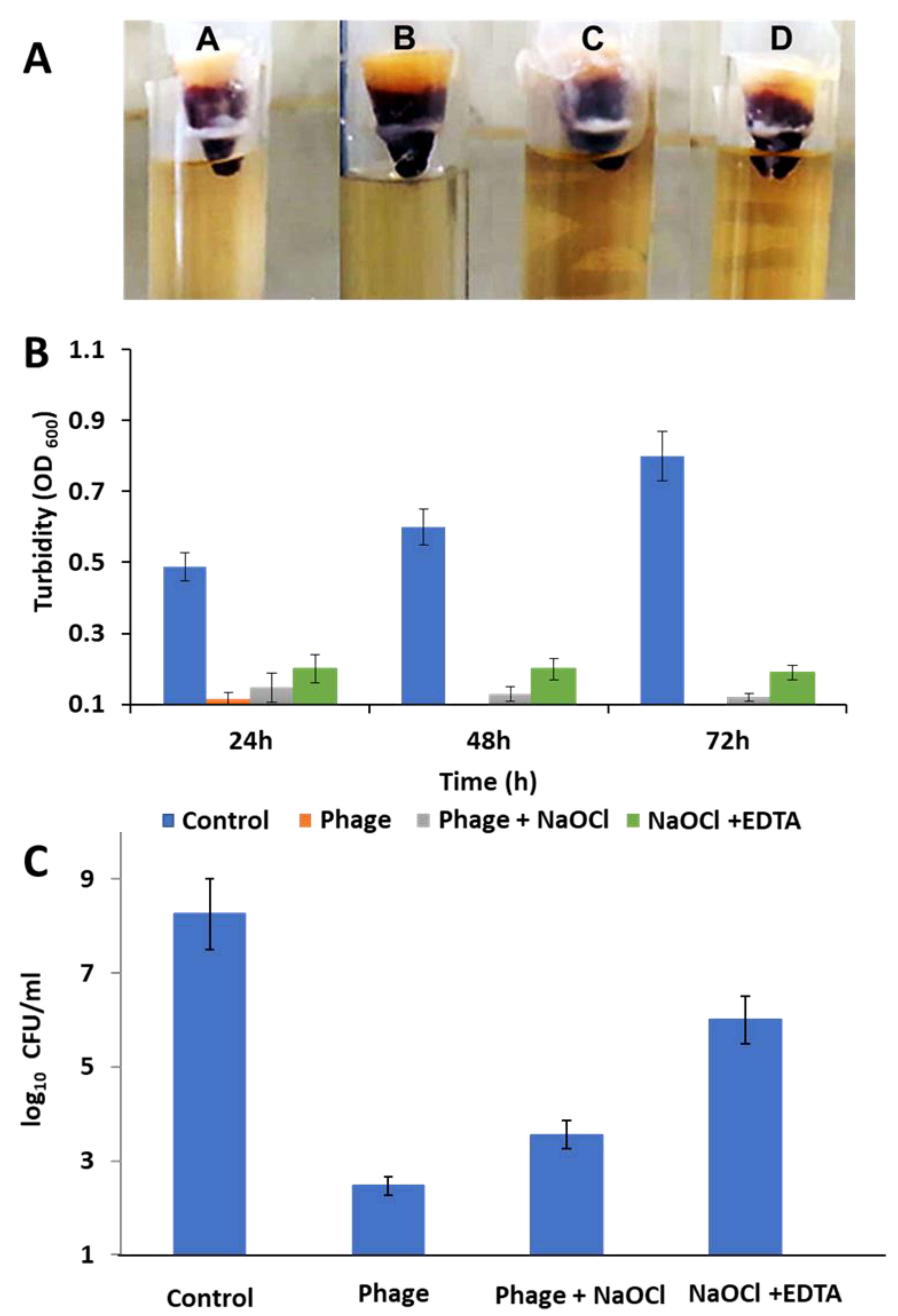 Microorganisms 09 00517 g007