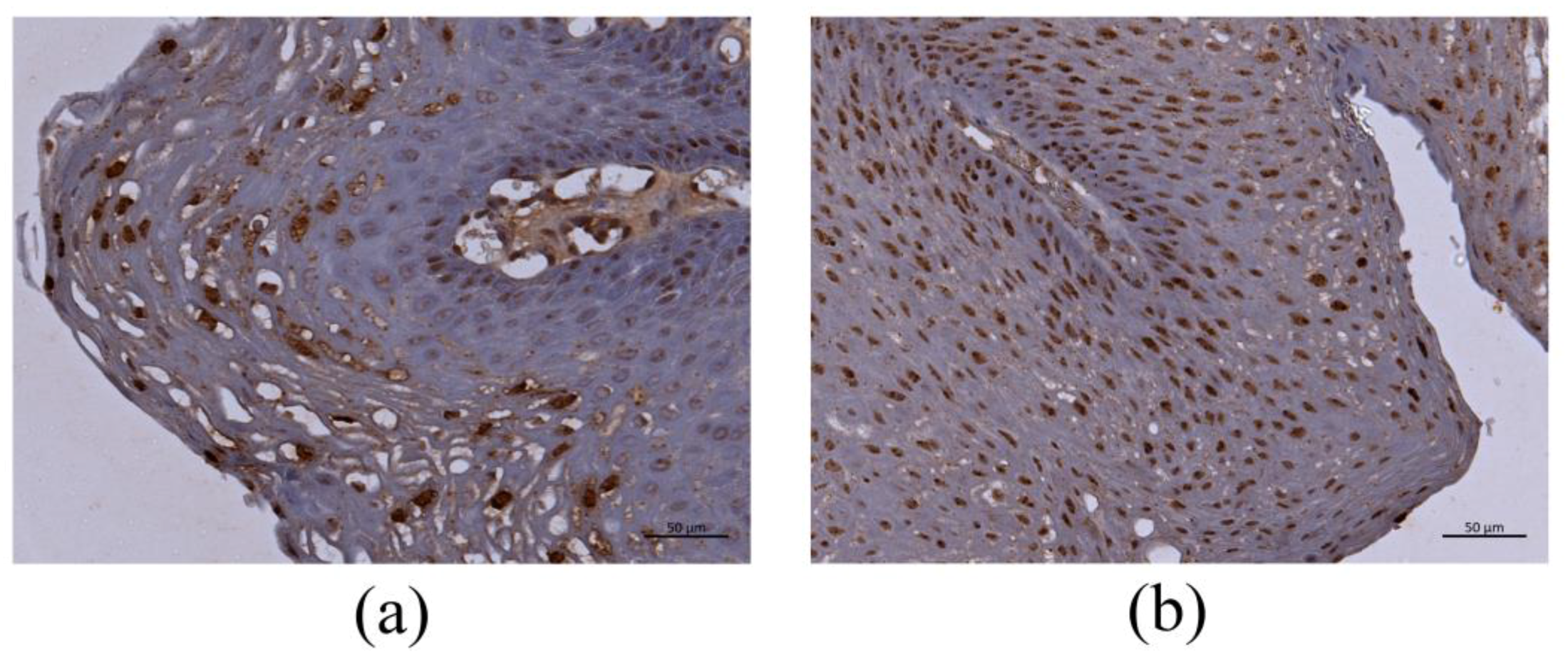 Microorganisms 09 00520 g002 Microorganisms 09 00520 g002